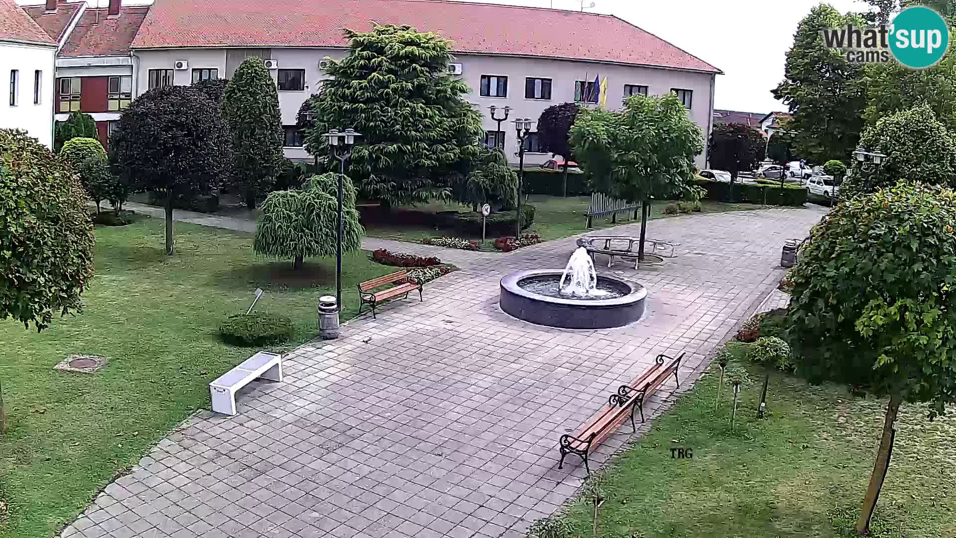 Čazma – Piazza Čazmanskog Kaptola