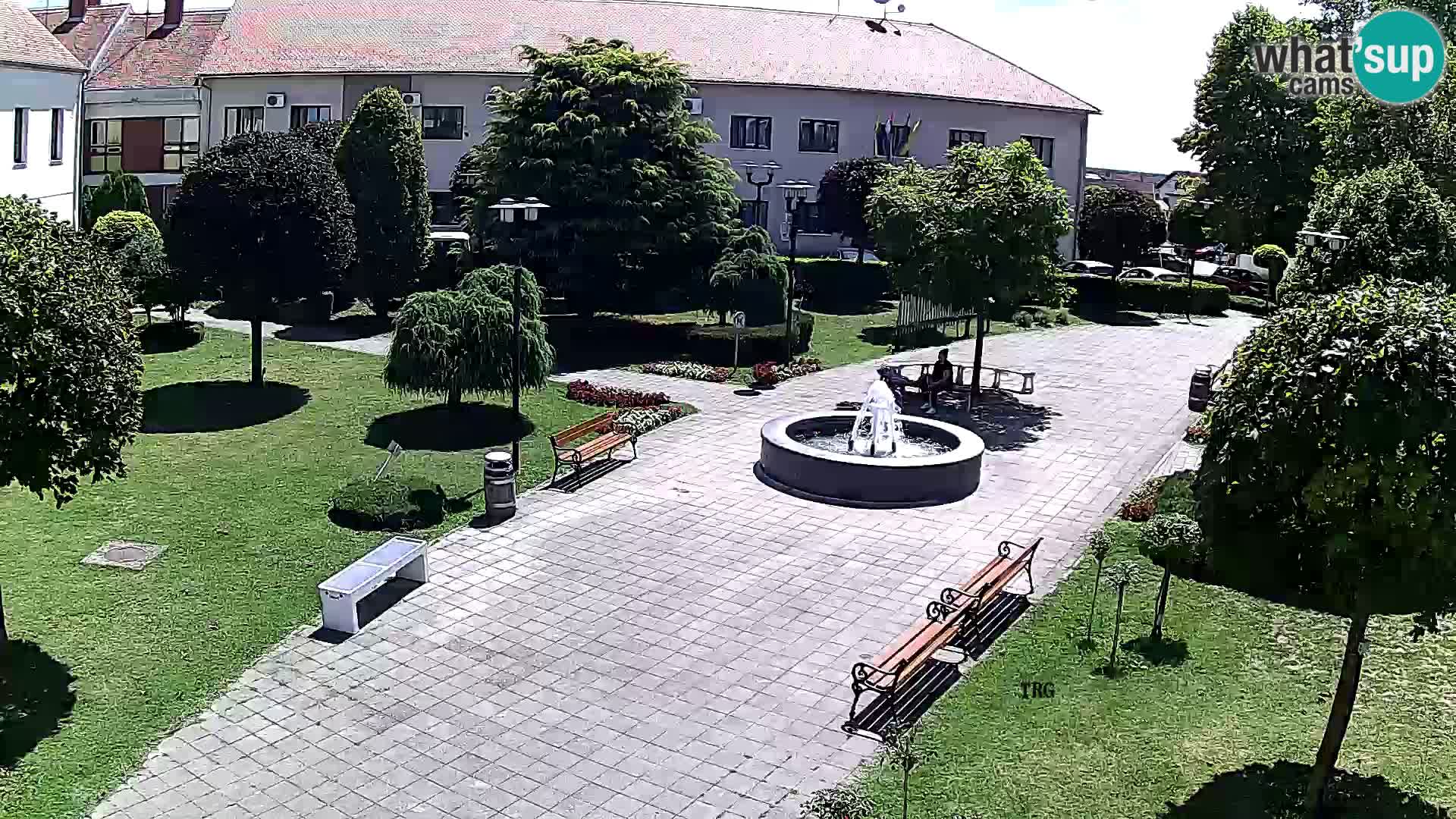 Čazma – Plaza Čazmanskog Kaptola