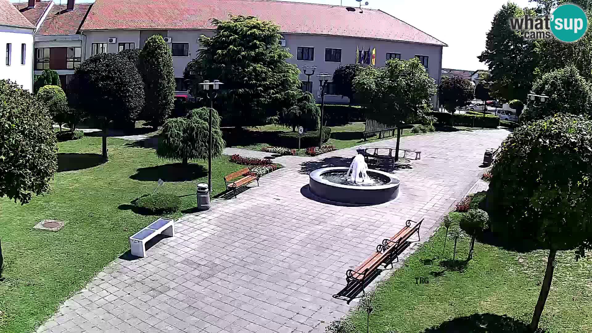 Čazma – Trg Čazmanskog Kaptola