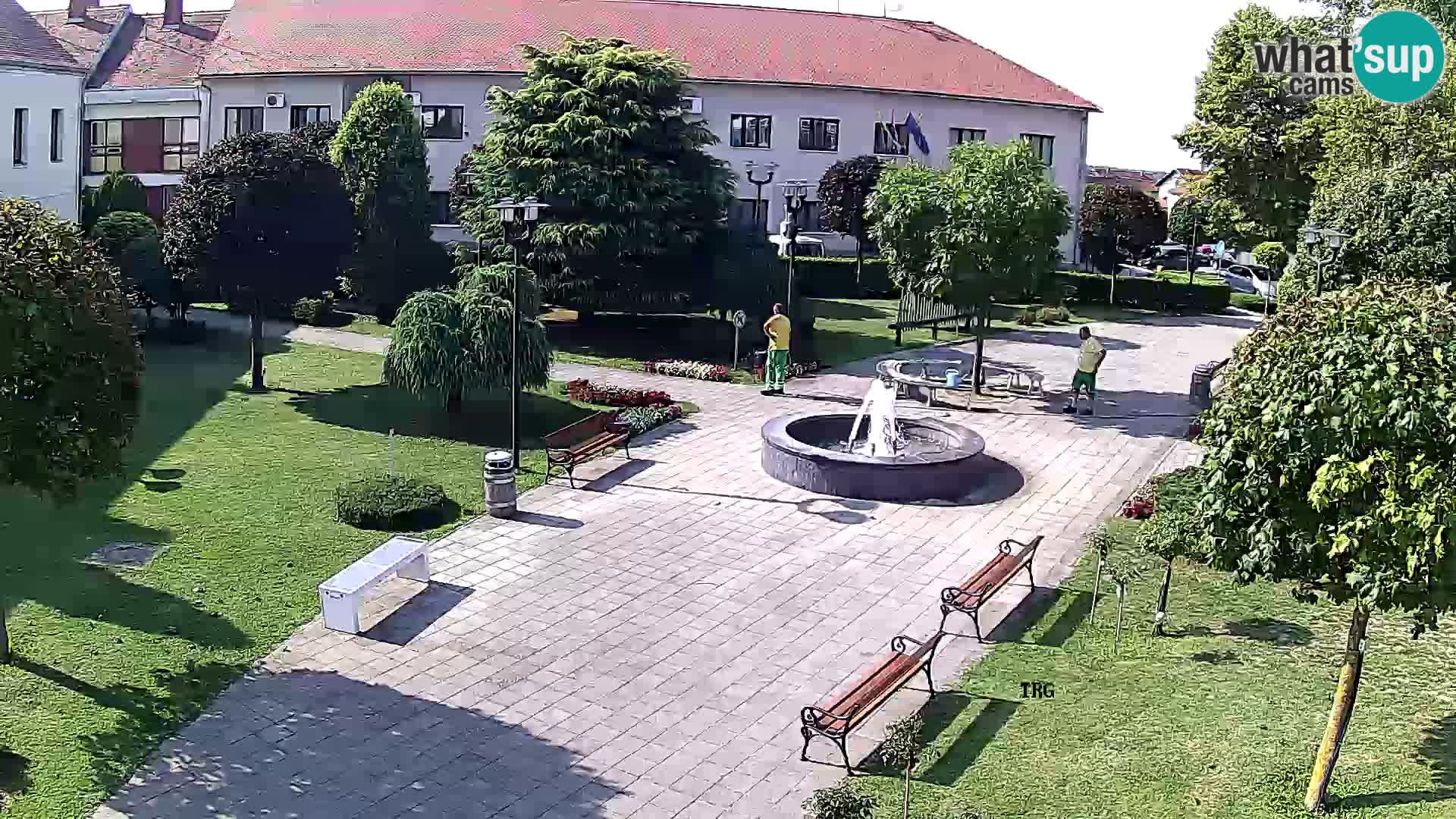 Čazma – Trg Čazmanskog Kaptola