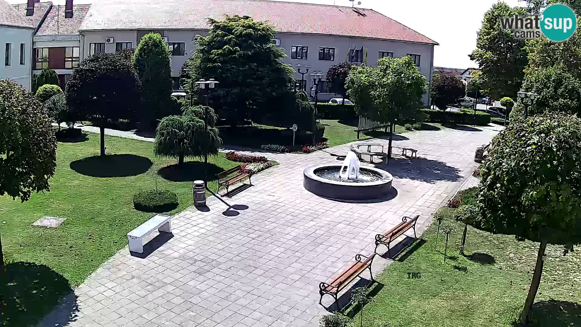 Čazma – Plaza Čazmanskog Kaptola