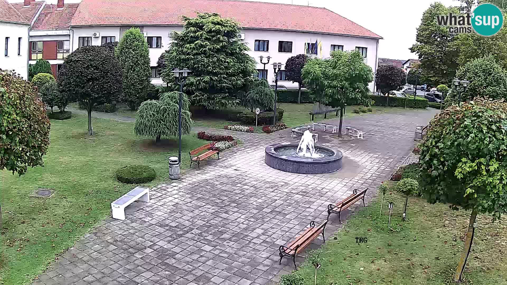 Čazma – Plaza Čazmanskog Kaptola