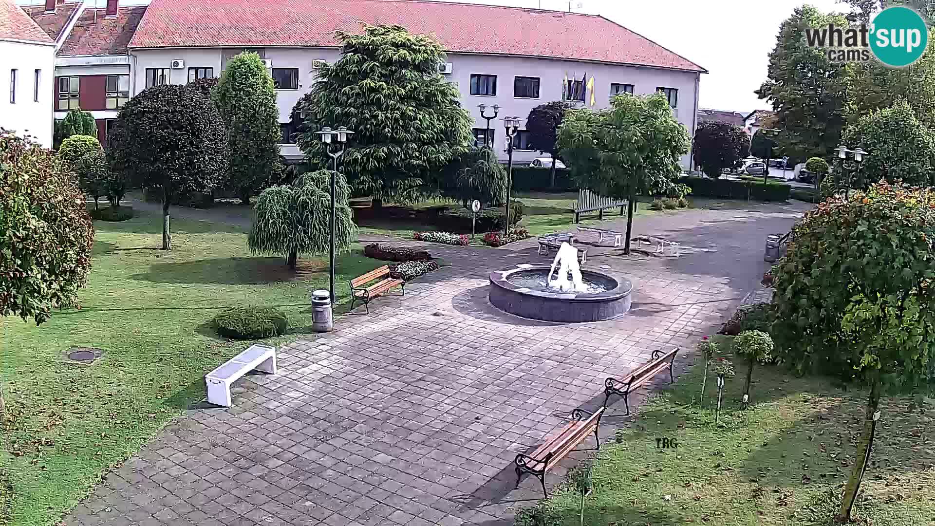 Čazma – Trg Čazmanskog Kaptola