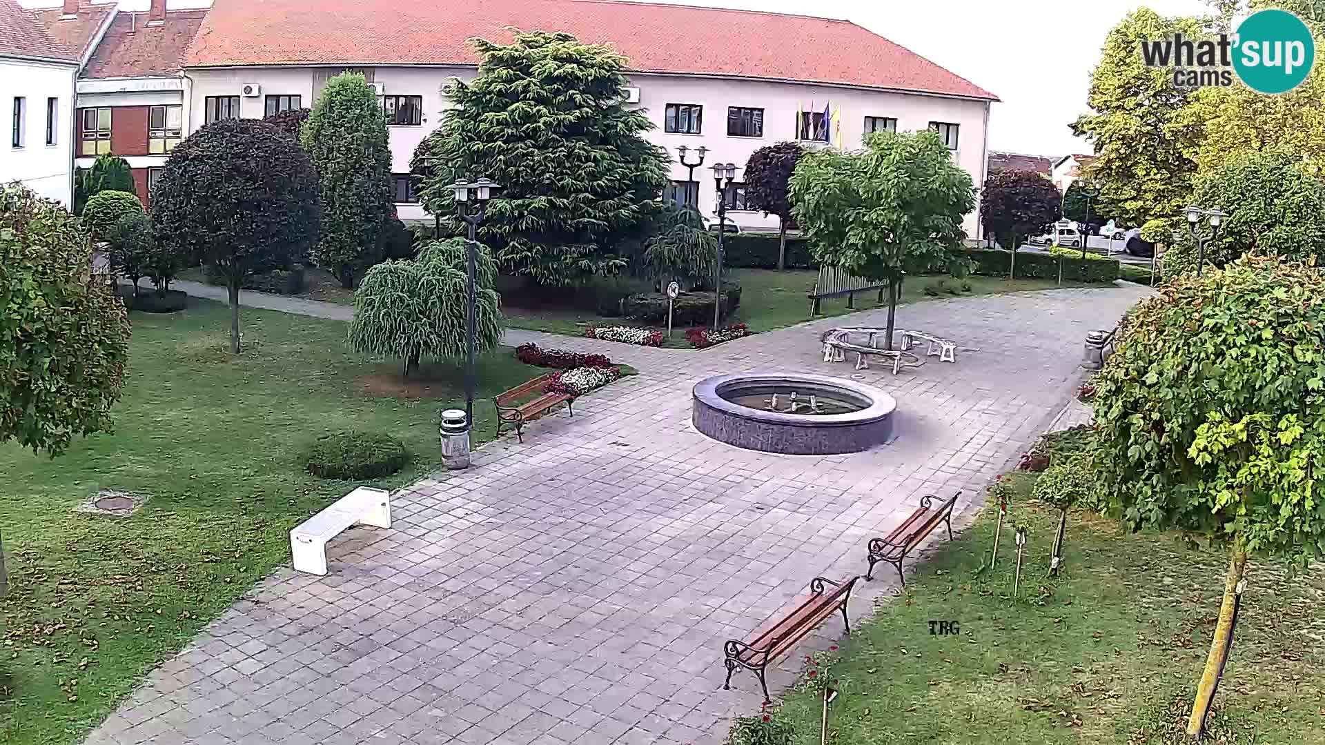 Čazma – Plaza Čazmanskog Kaptola