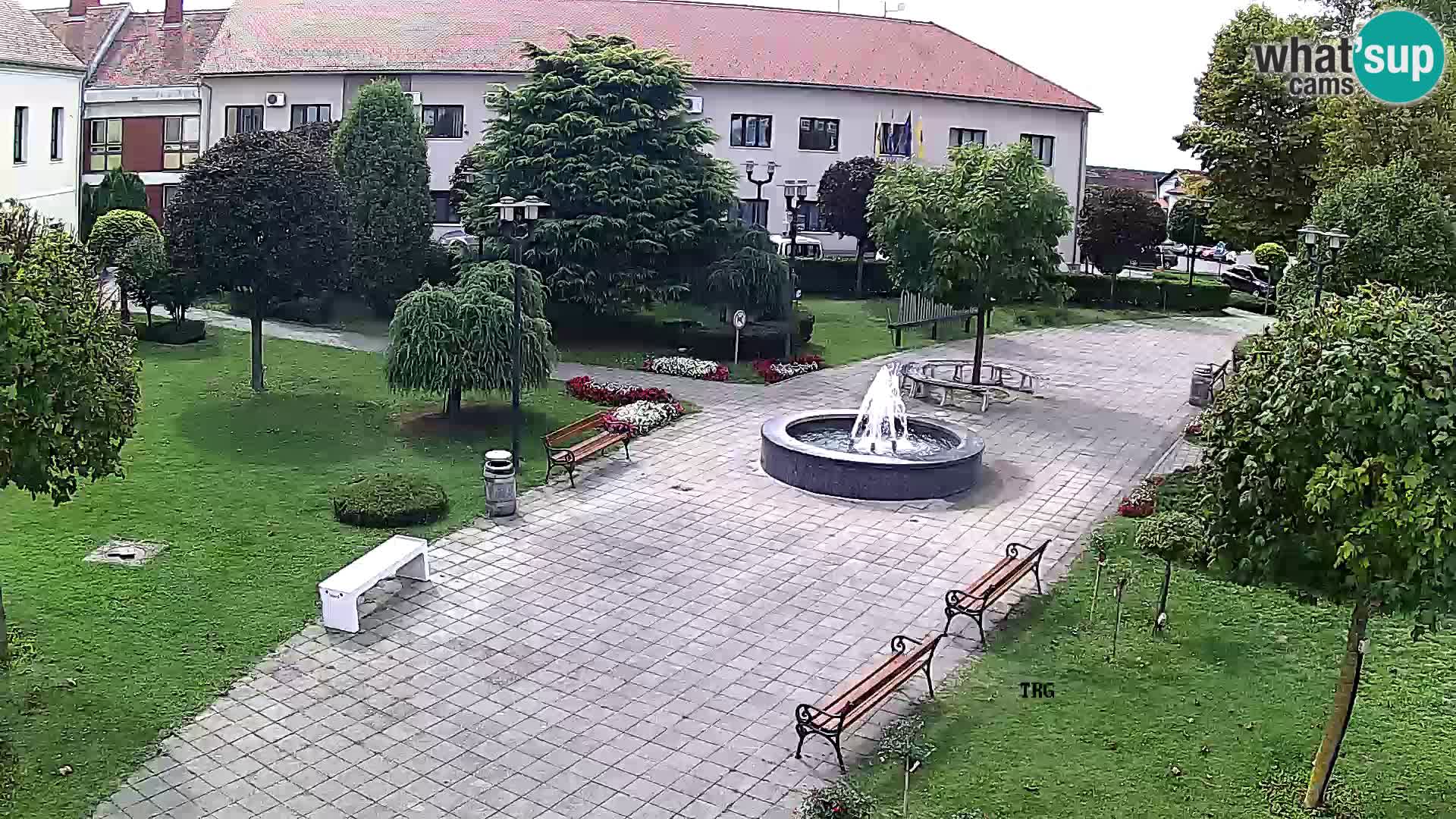 Čazma – Trg Čazmanskog Kaptola