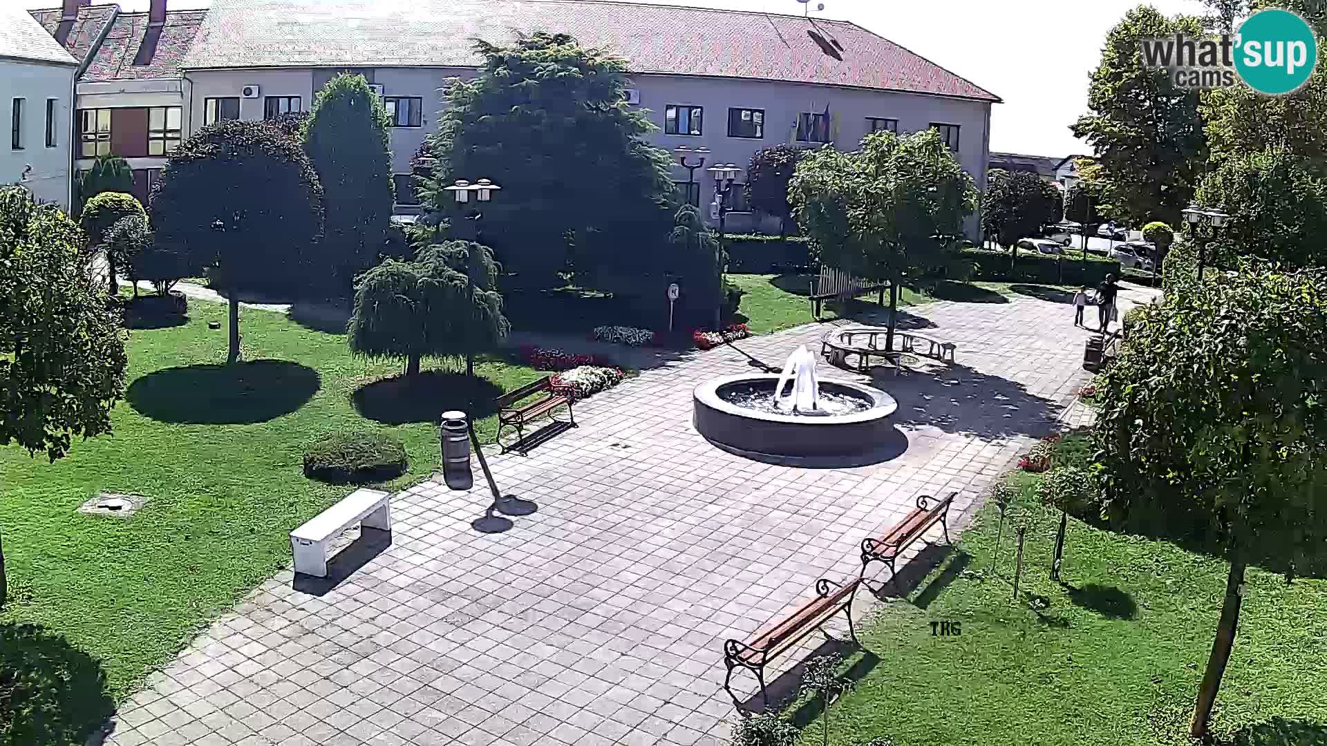 Čazma – Čazmanskog Kaptola square