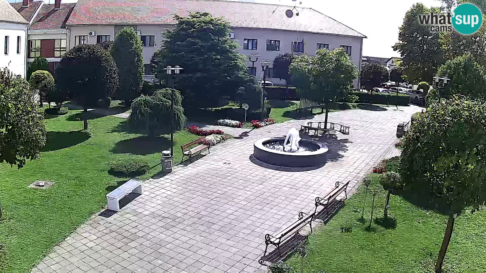 Čazma – Čazmanskog Kaptola Platz