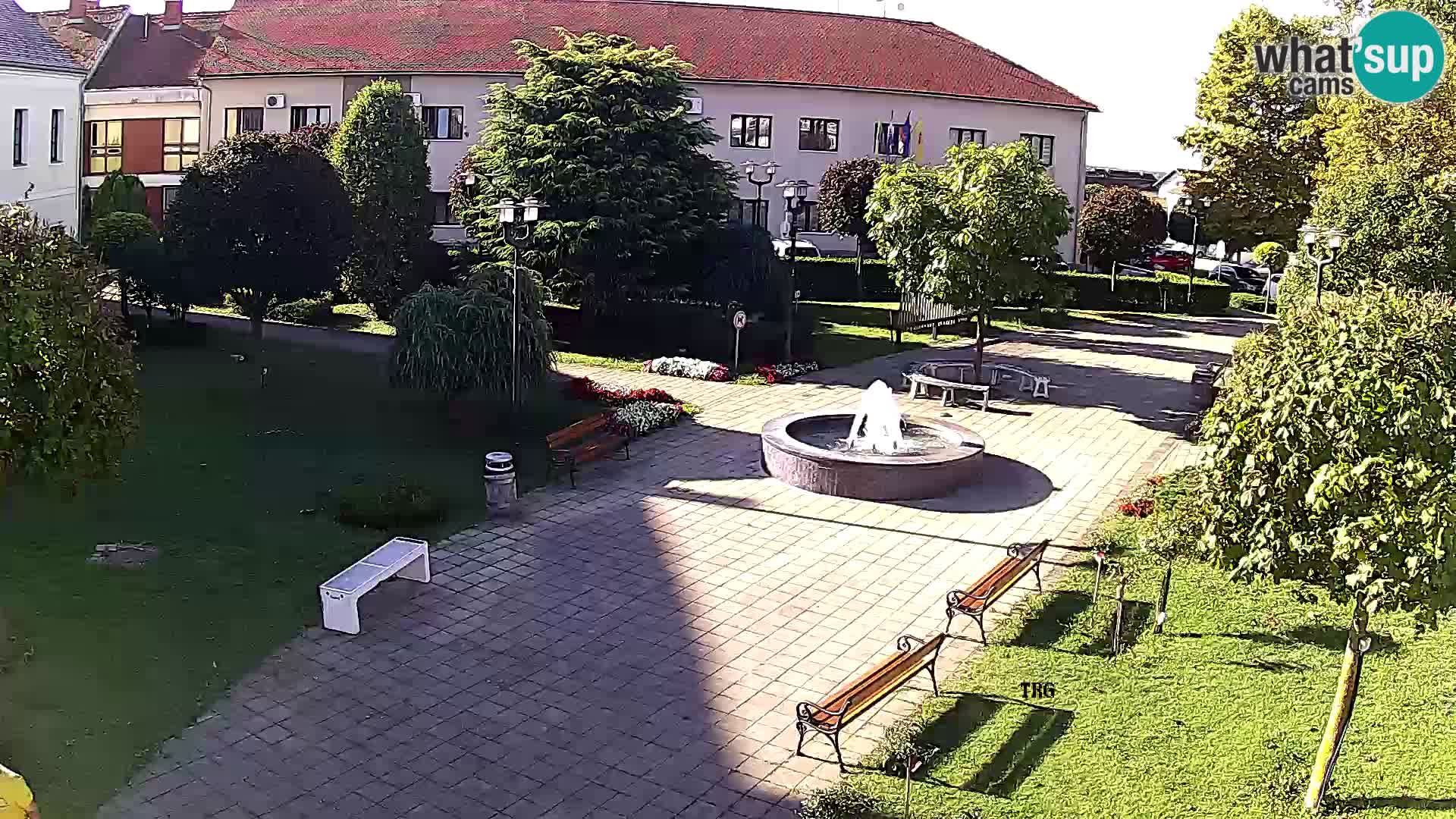 Čazma – Čazmanskog Kaptola square