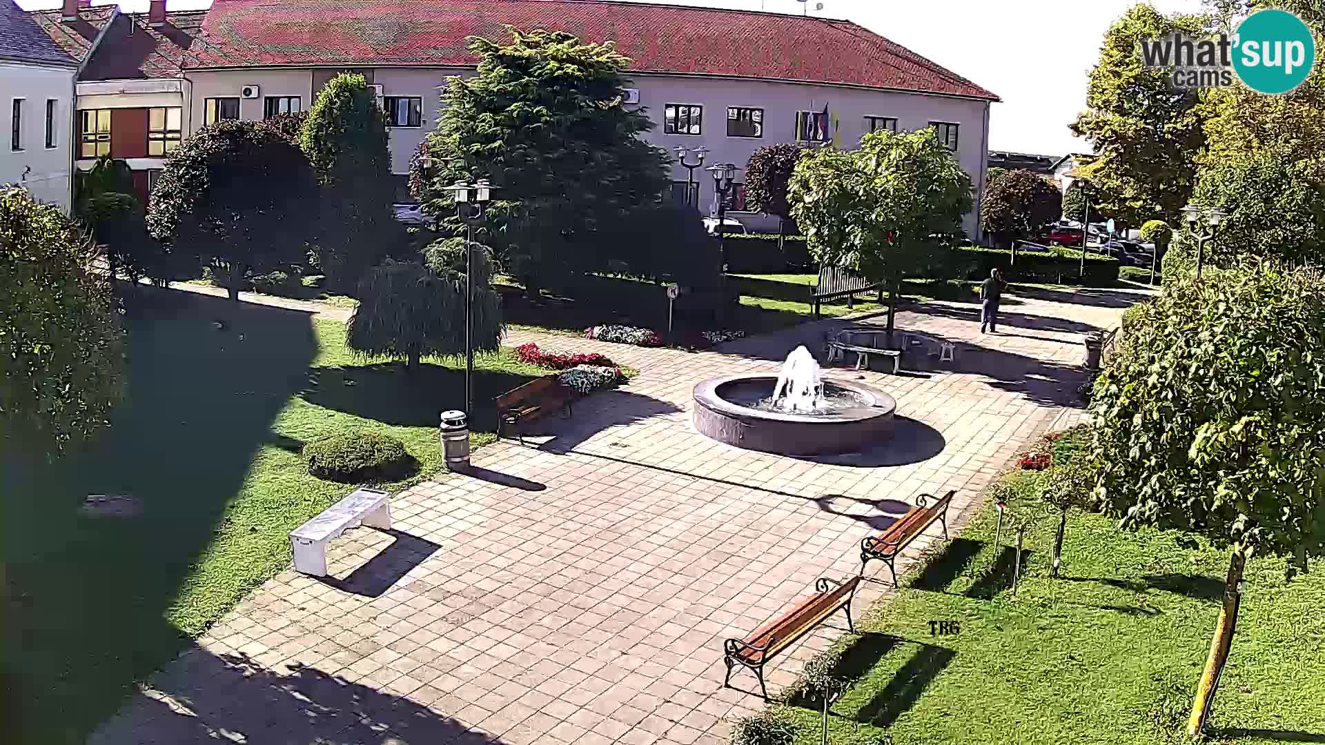 Čazma – Piazza Čazmanskog Kaptola