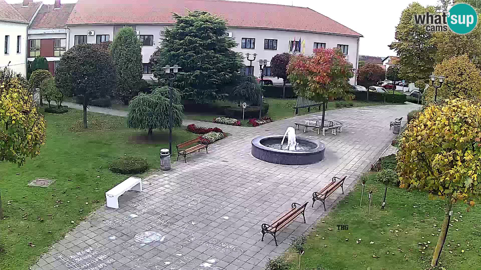 Čazma – Plaza Čazmanskog Kaptola
