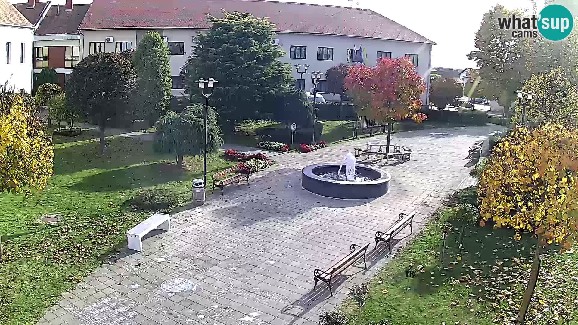 Čazma – Trg Čazmanskog Kaptola