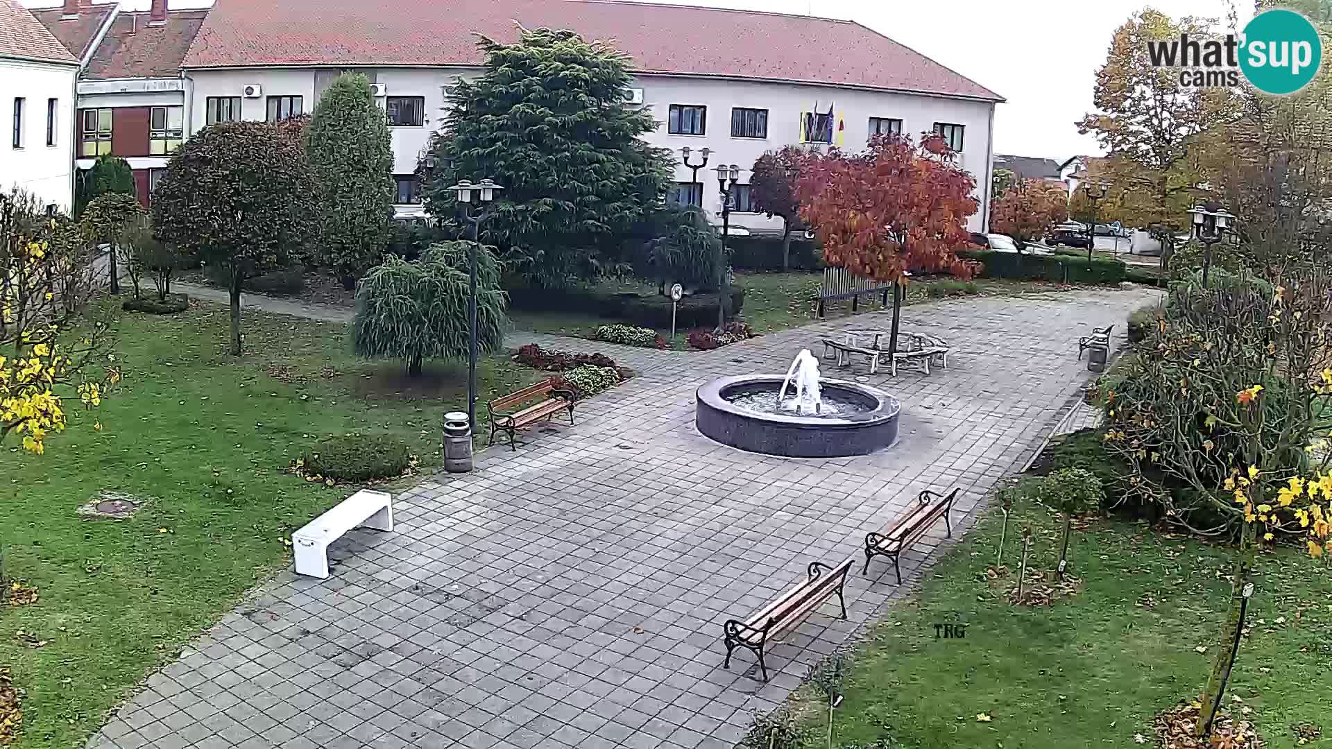 Čazma – Čazmanskog Kaptola Platz