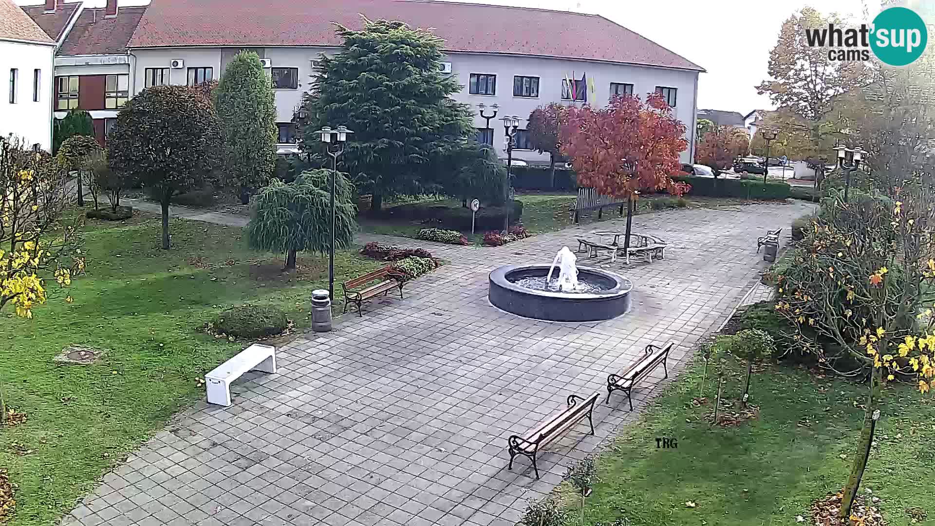Čazma – Piazza Čazmanskog Kaptola