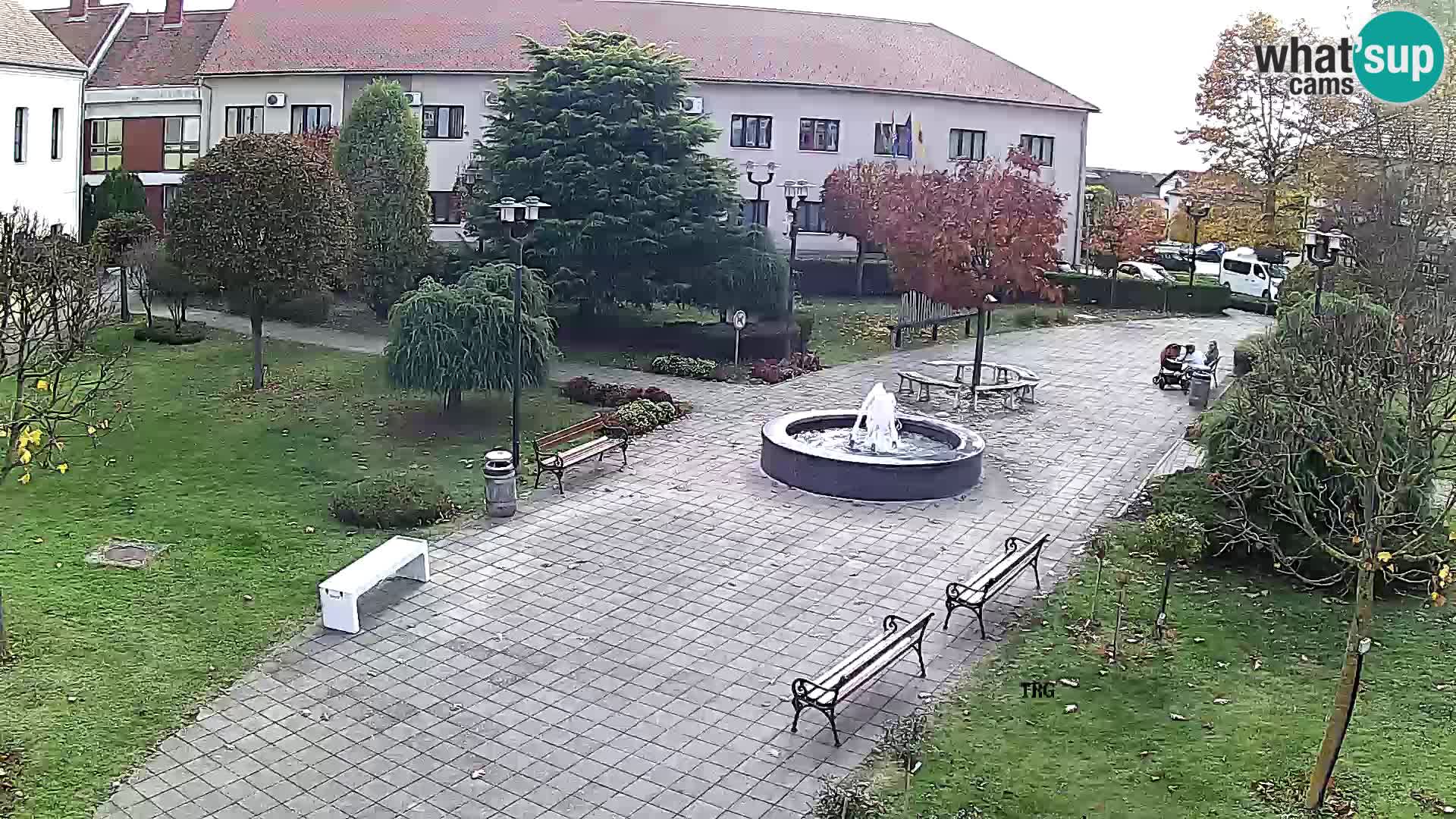 Čazma – Trg Čazmanskog Kaptola