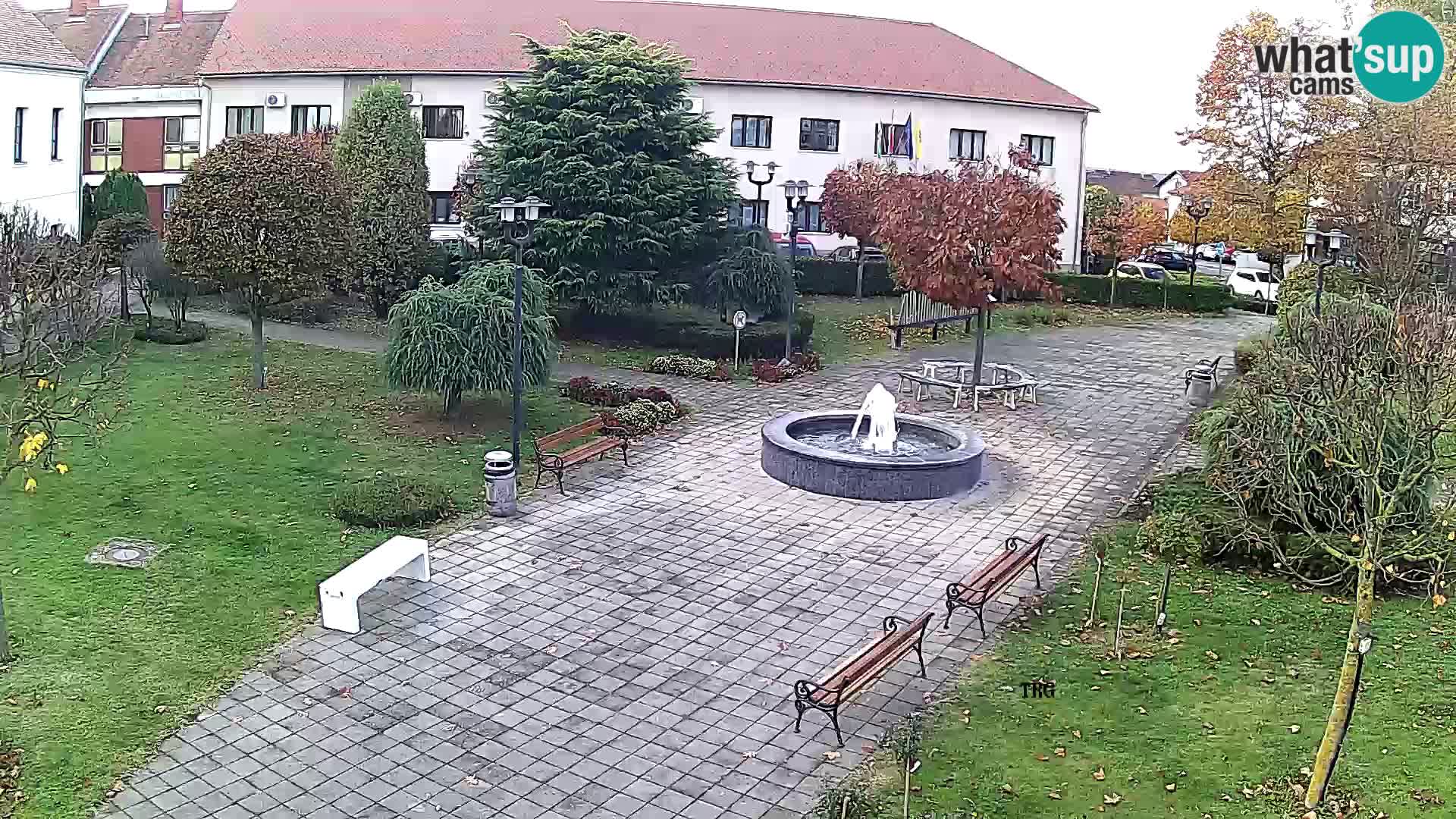 Čazma – Plaza Čazmanskog Kaptola