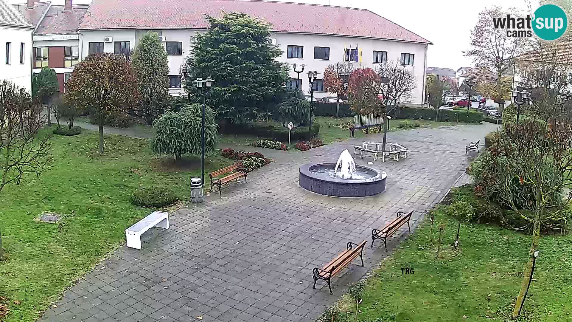 Čazma – Plaza Čazmanskog Kaptola