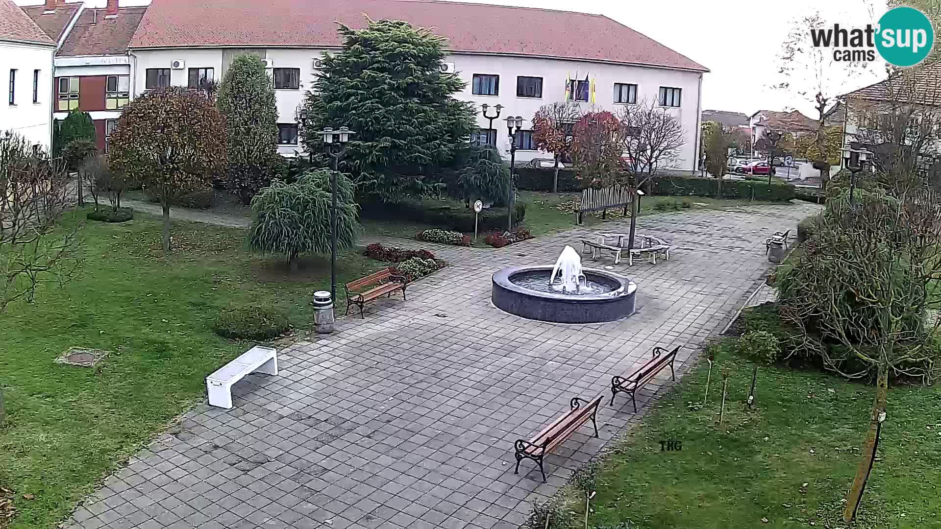 Čazma – Piazza Čazmanskog Kaptola
