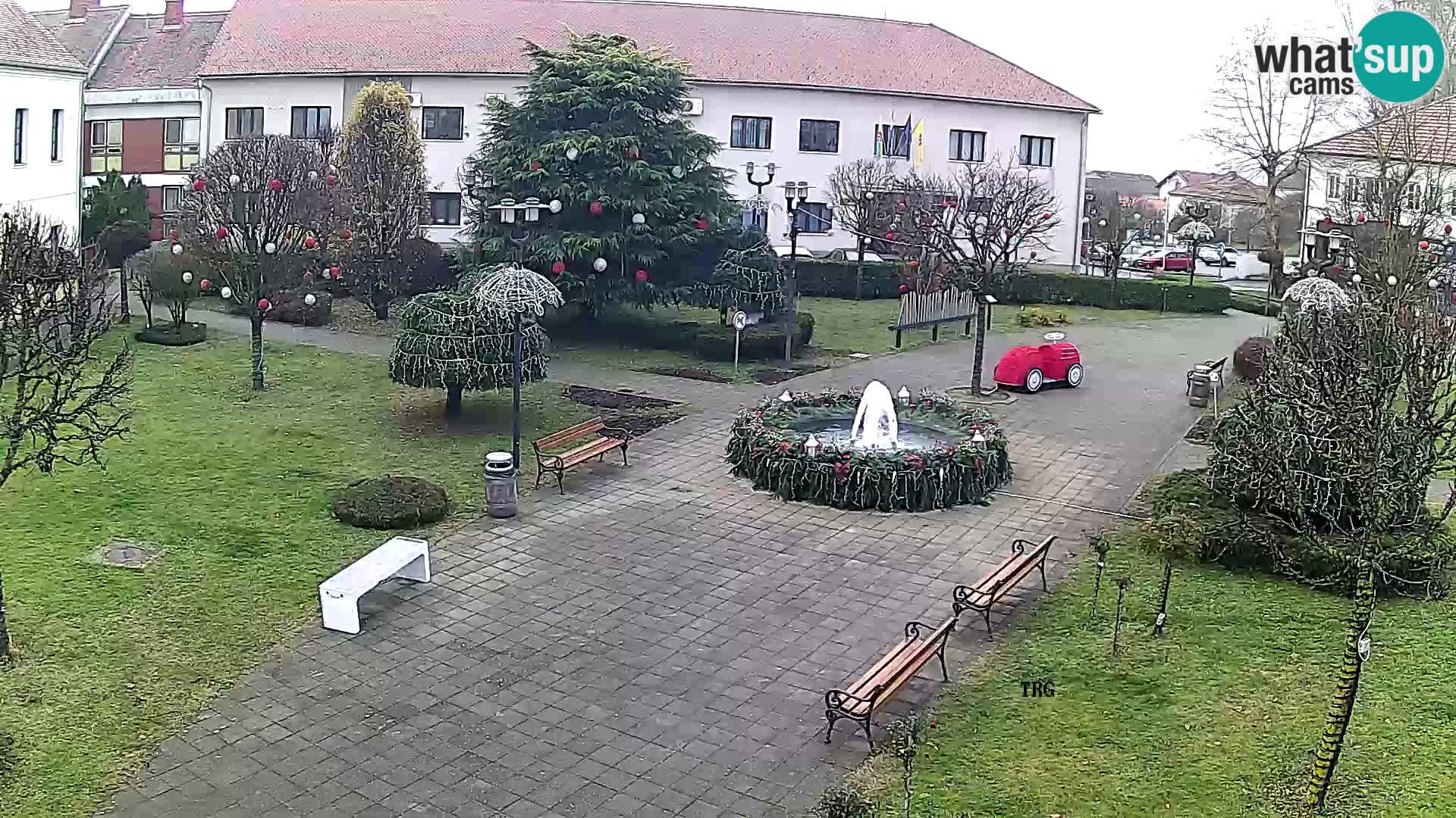 Čazma – Trg Čazmanskog Kaptola