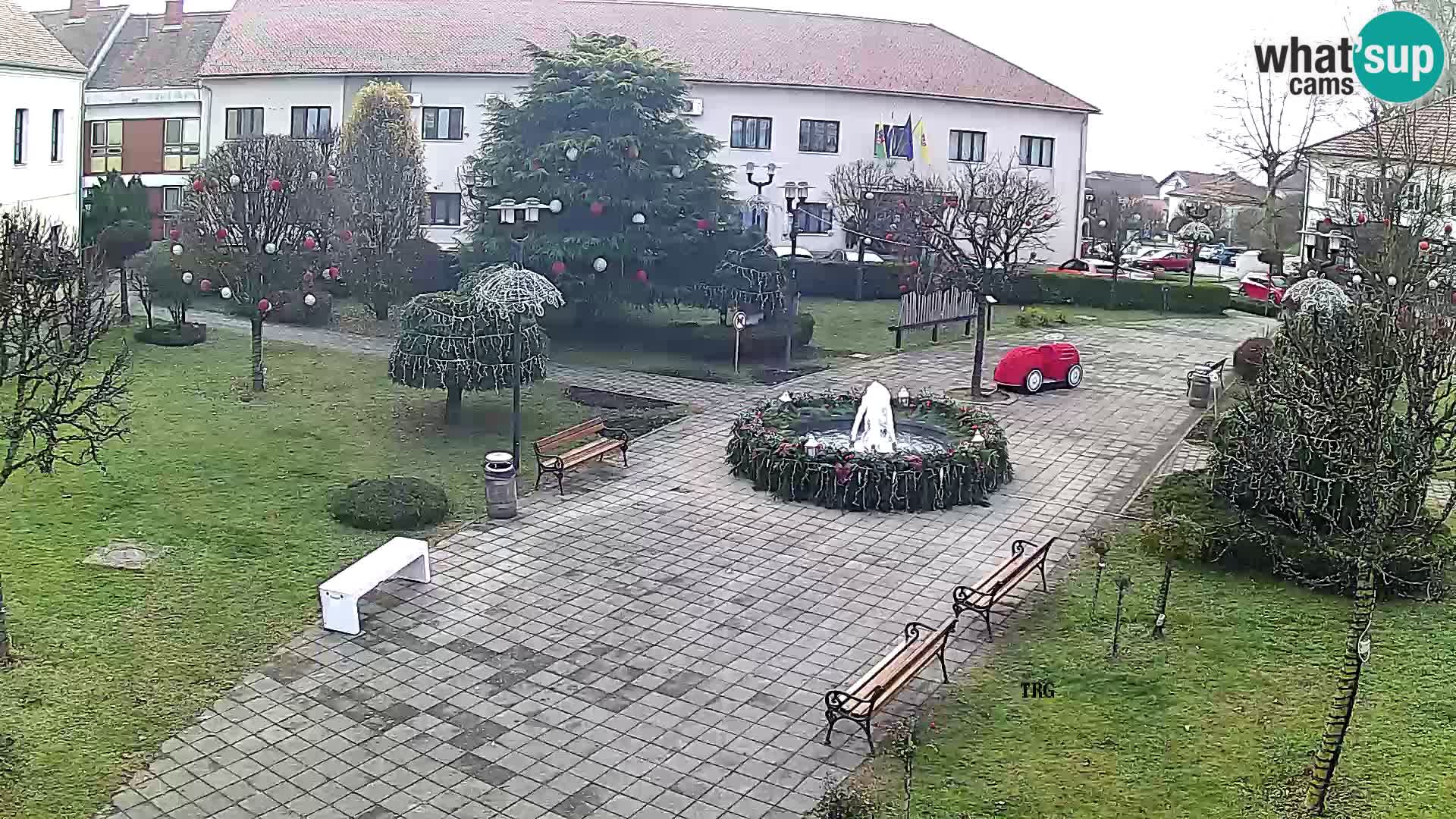 Čazma – Plaza Čazmanskog Kaptola