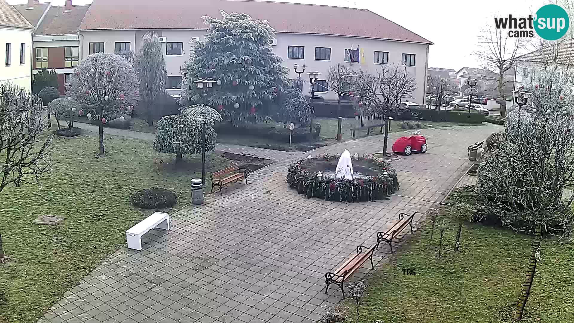 Čazma – Piazza Čazmanskog Kaptola