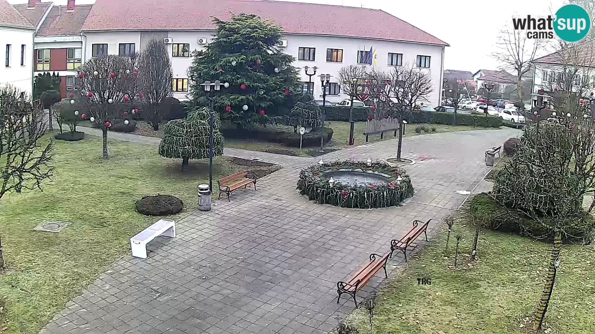 Čazma – Plaza Čazmanskog Kaptola