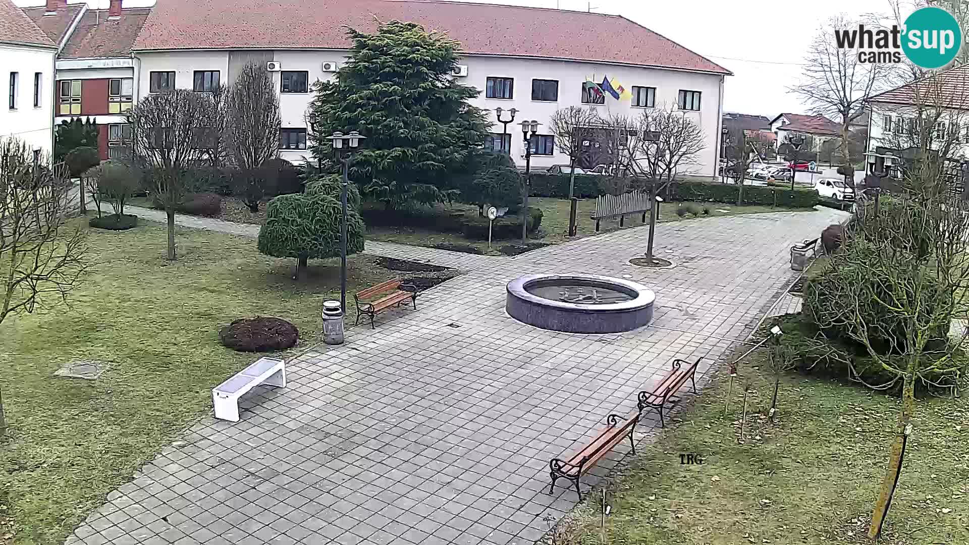 Čazma – Piazza Čazmanskog Kaptola