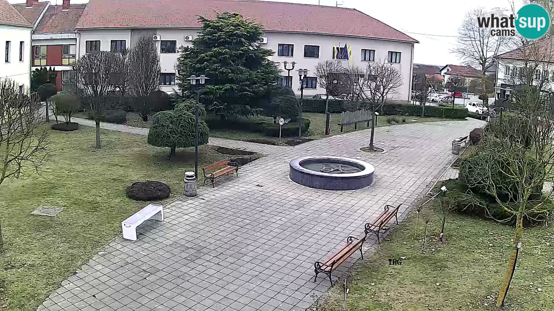 Čazma – Piazza Čazmanskog Kaptola