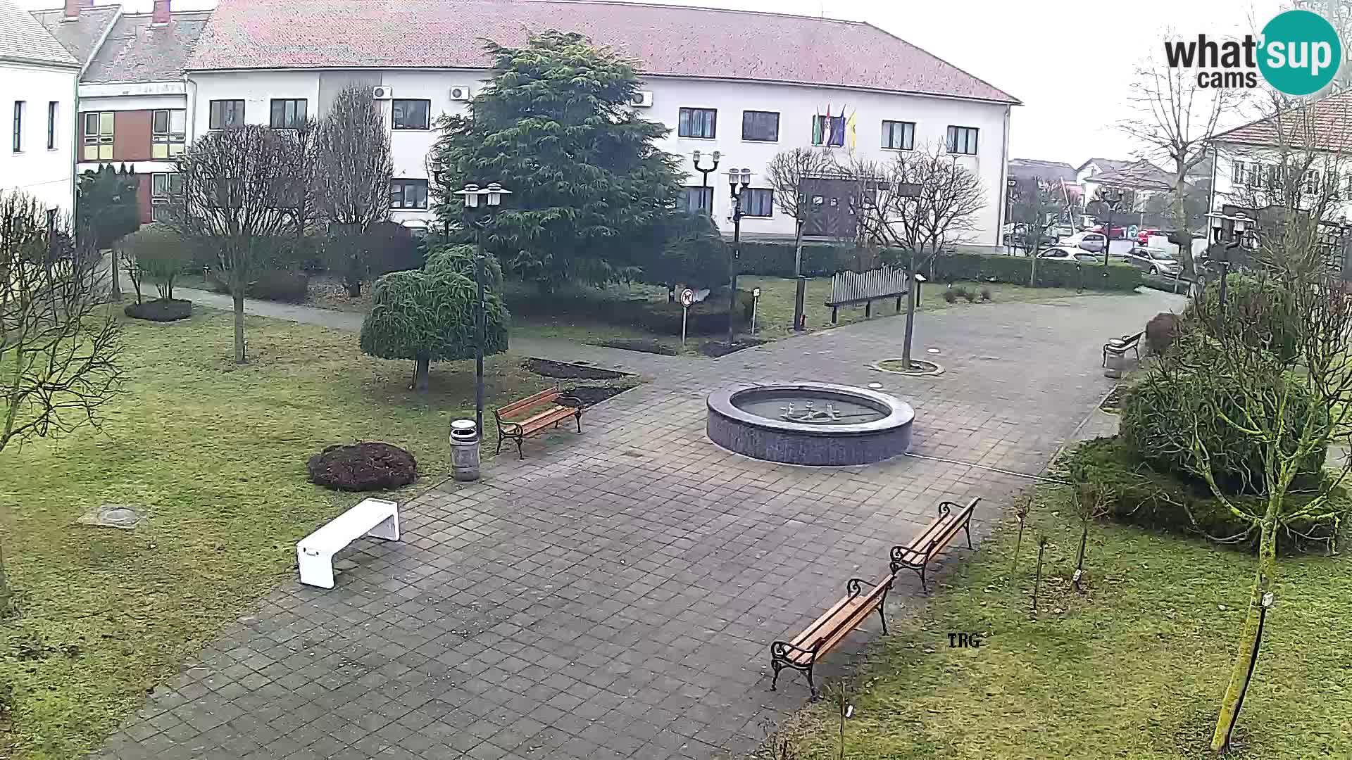 Čazma – Piazza Čazmanskog Kaptola