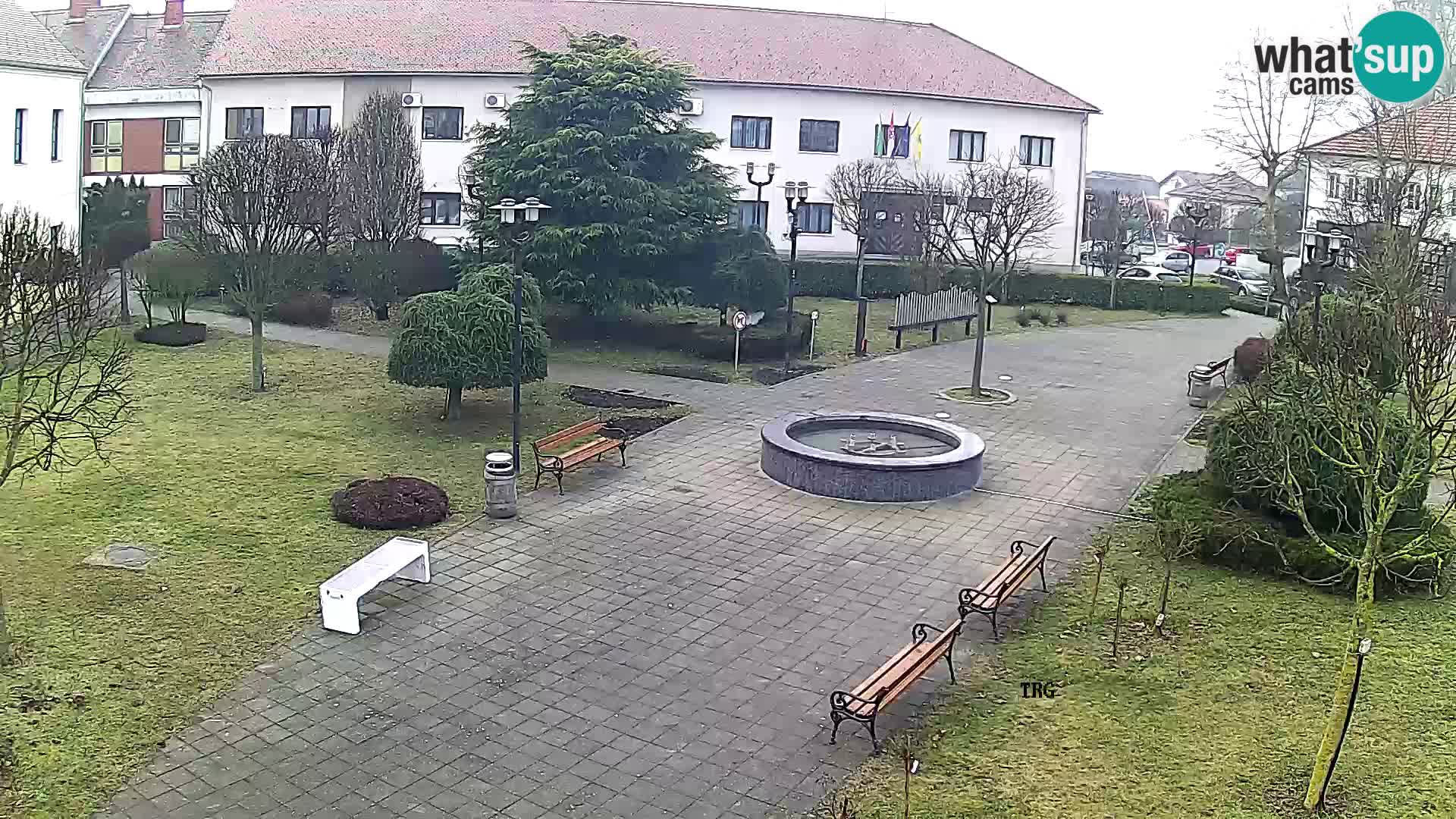 Čazma – Plaza Čazmanskog Kaptola