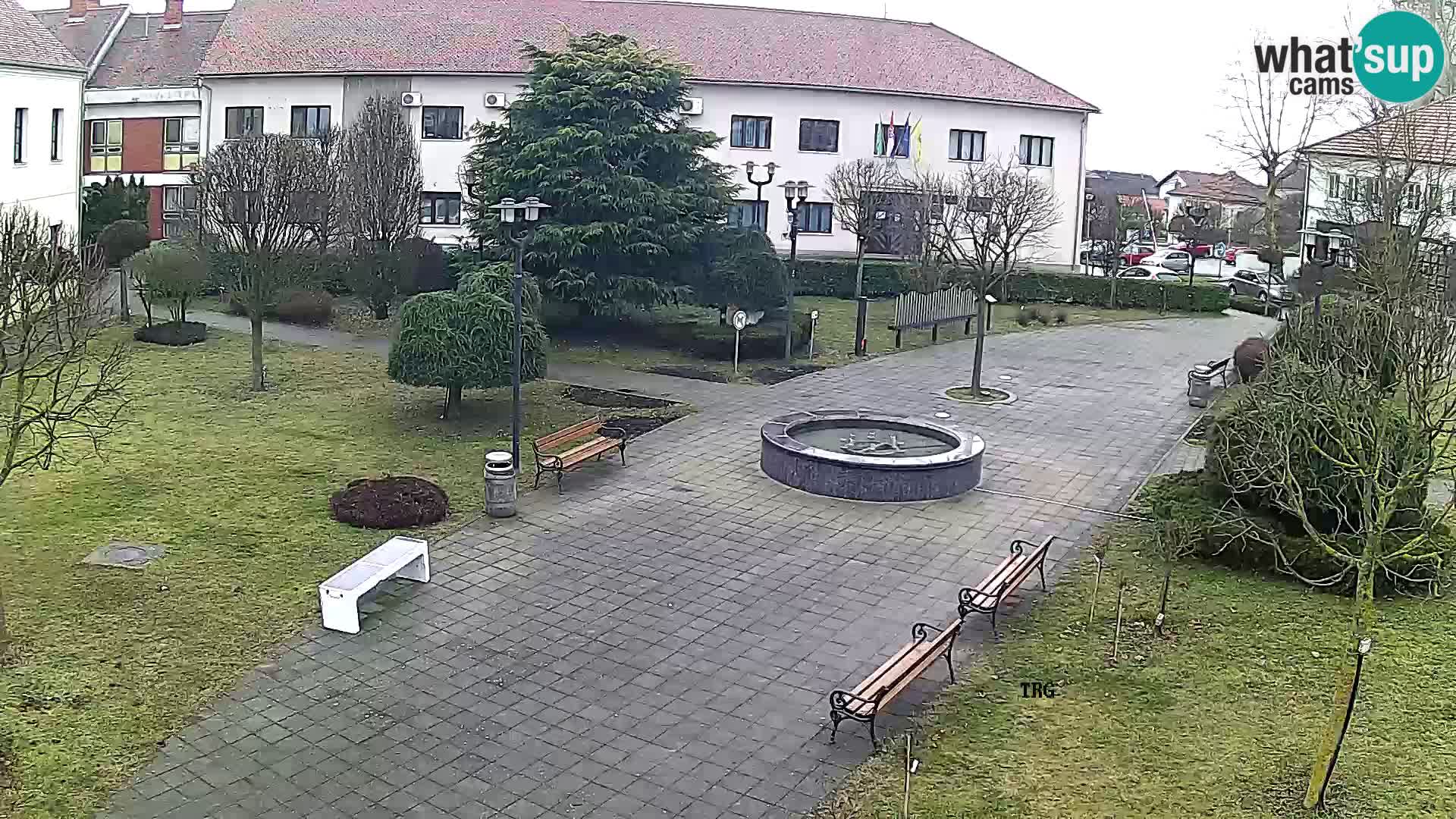 Čazma – Plaza Čazmanskog Kaptola