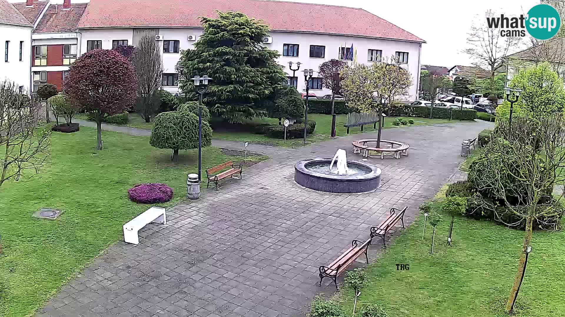 Čazma – Trg Čazmanskog Kaptola