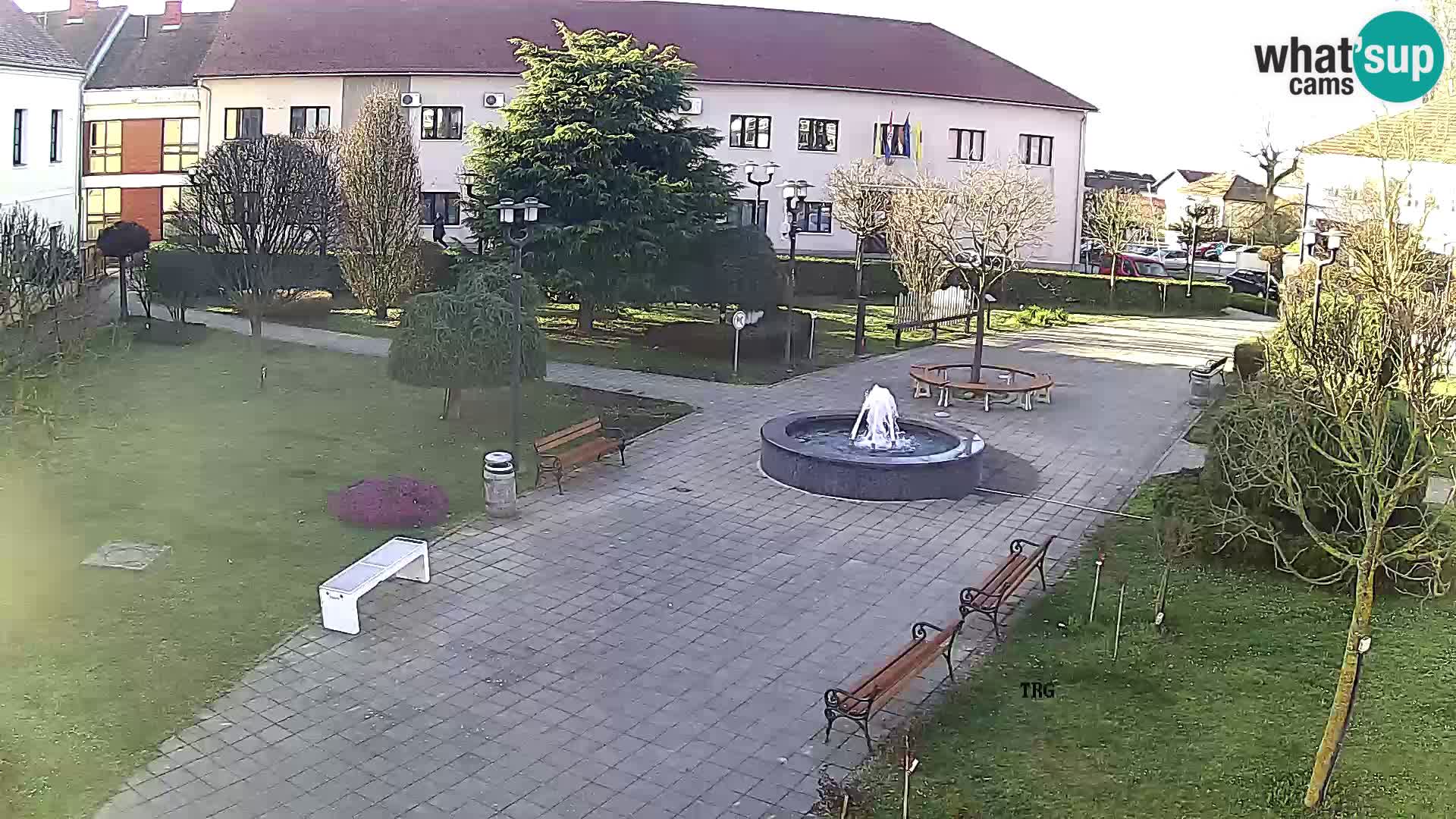 Čazma – Piazza Čazmanskog Kaptola