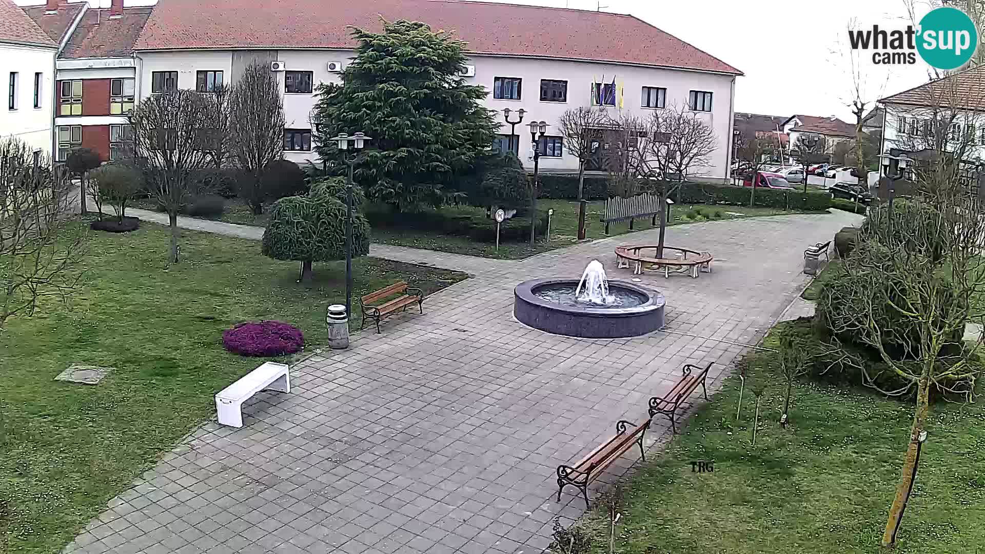 Čazma – Čazmanskog Kaptola Platz