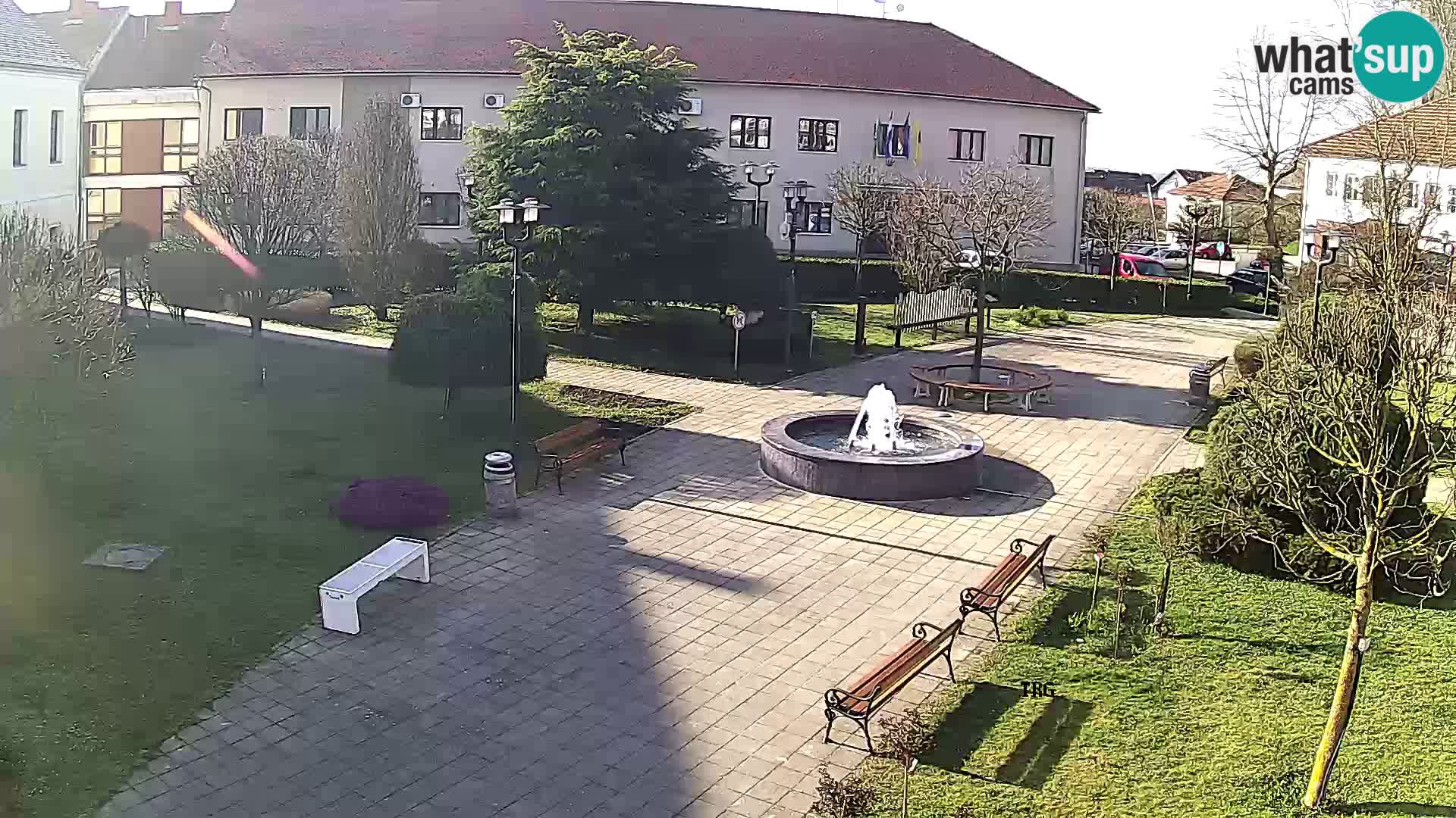 Čazma – Plaza Čazmanskog Kaptola