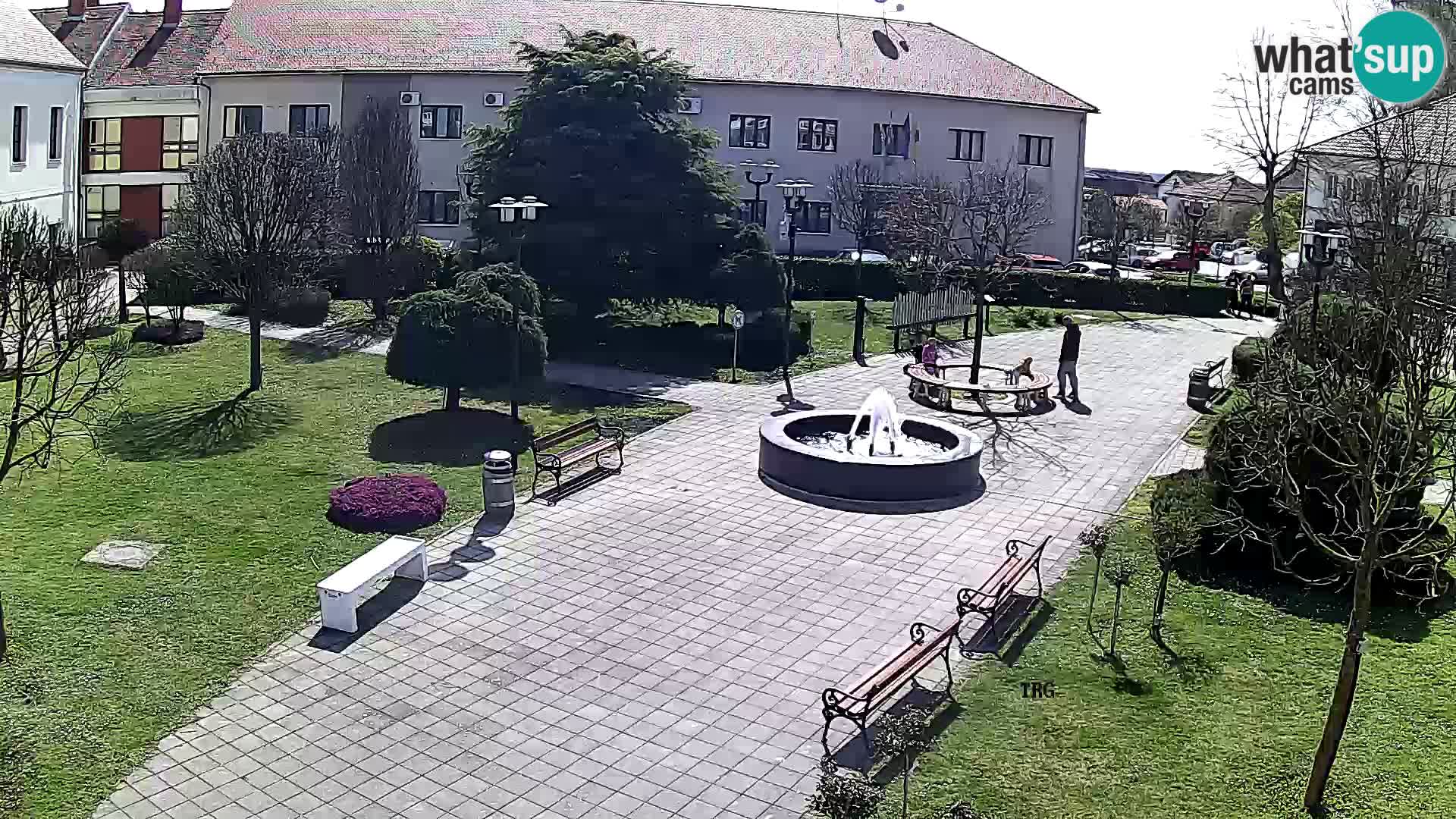 Čazma – Piazza Čazmanskog Kaptola