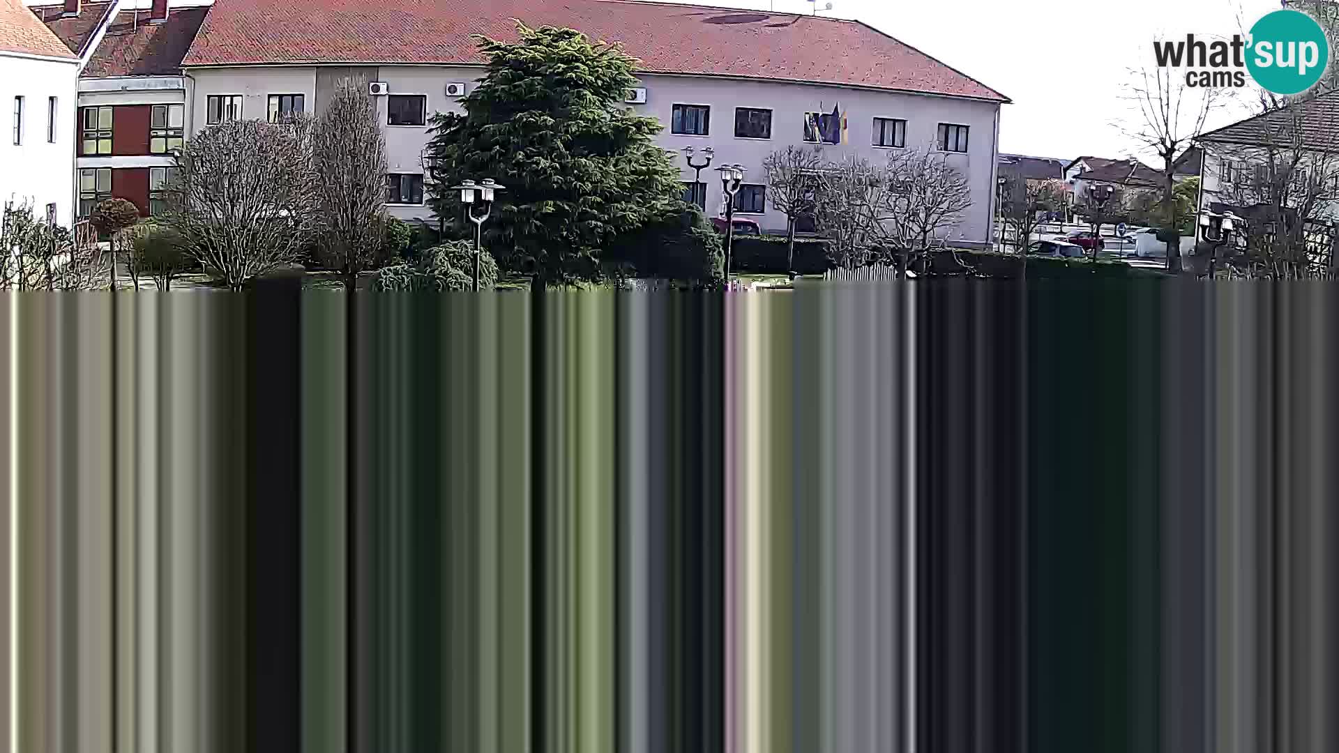 Čazma – Piazza Čazmanskog Kaptola