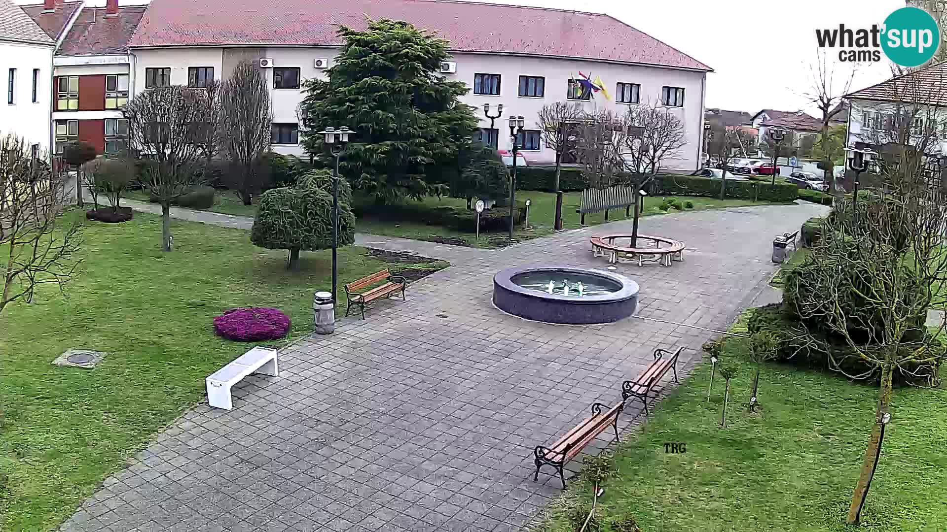 Čazma – Trg Čazmanskog Kaptola