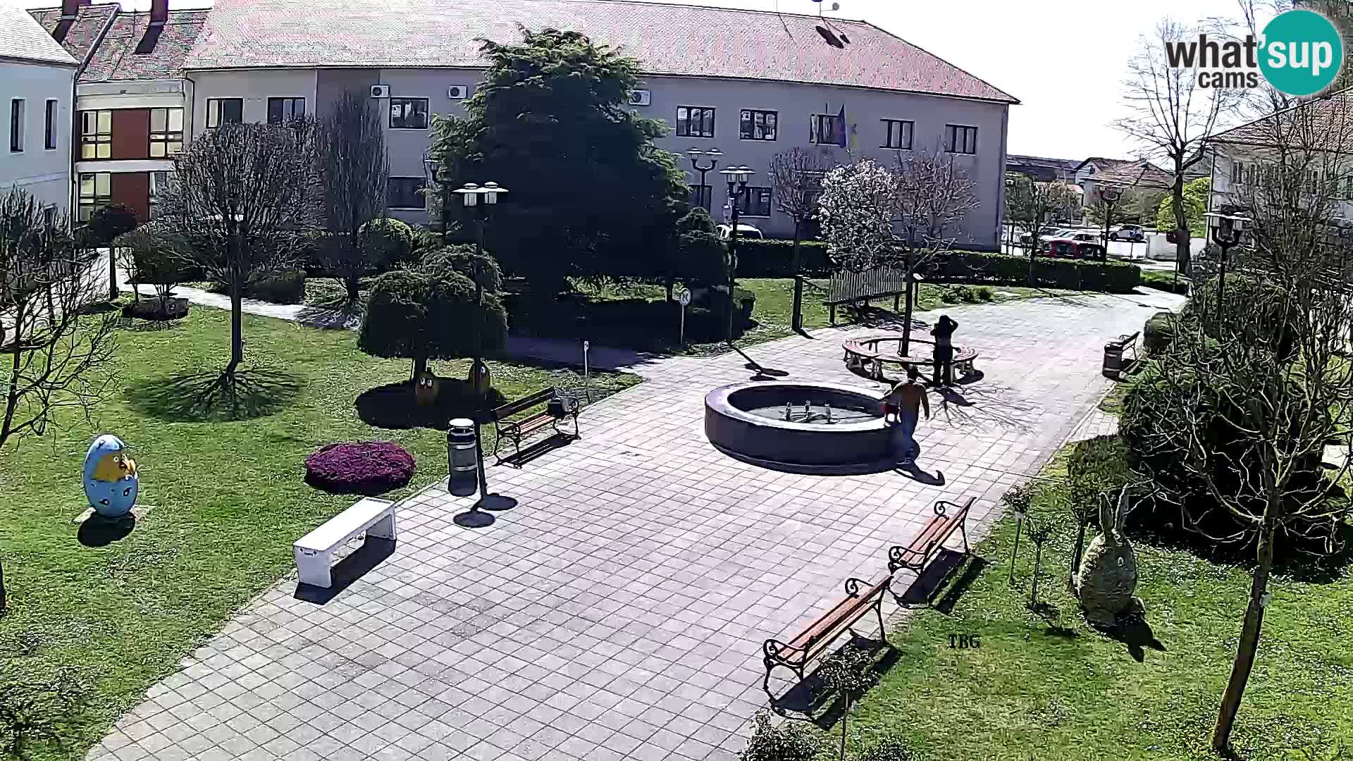 Čazma – Čazmanskog Kaptola Platz