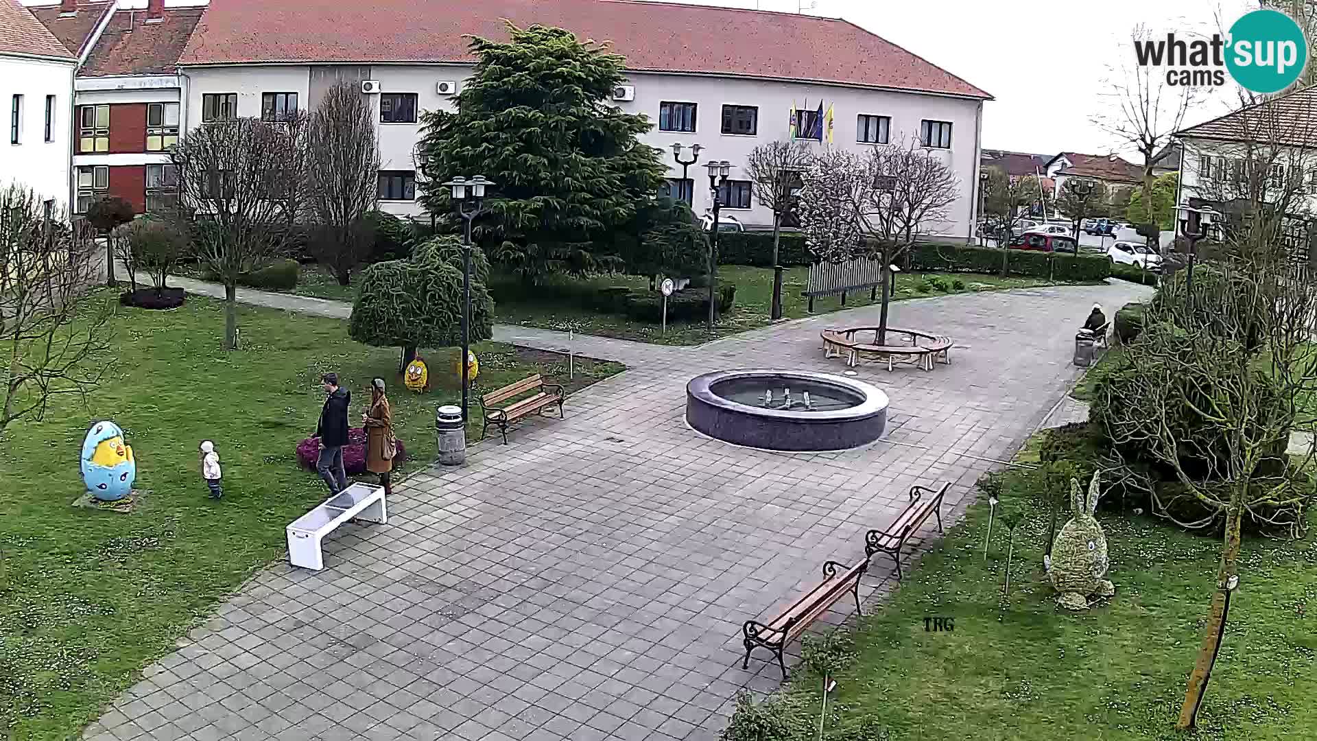 Čazma – Piazza Čazmanskog Kaptola