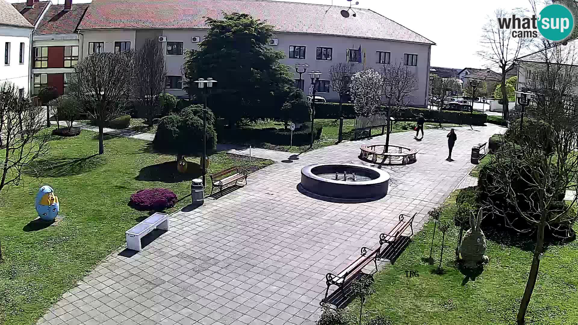 Čazma – Piazza Čazmanskog Kaptola