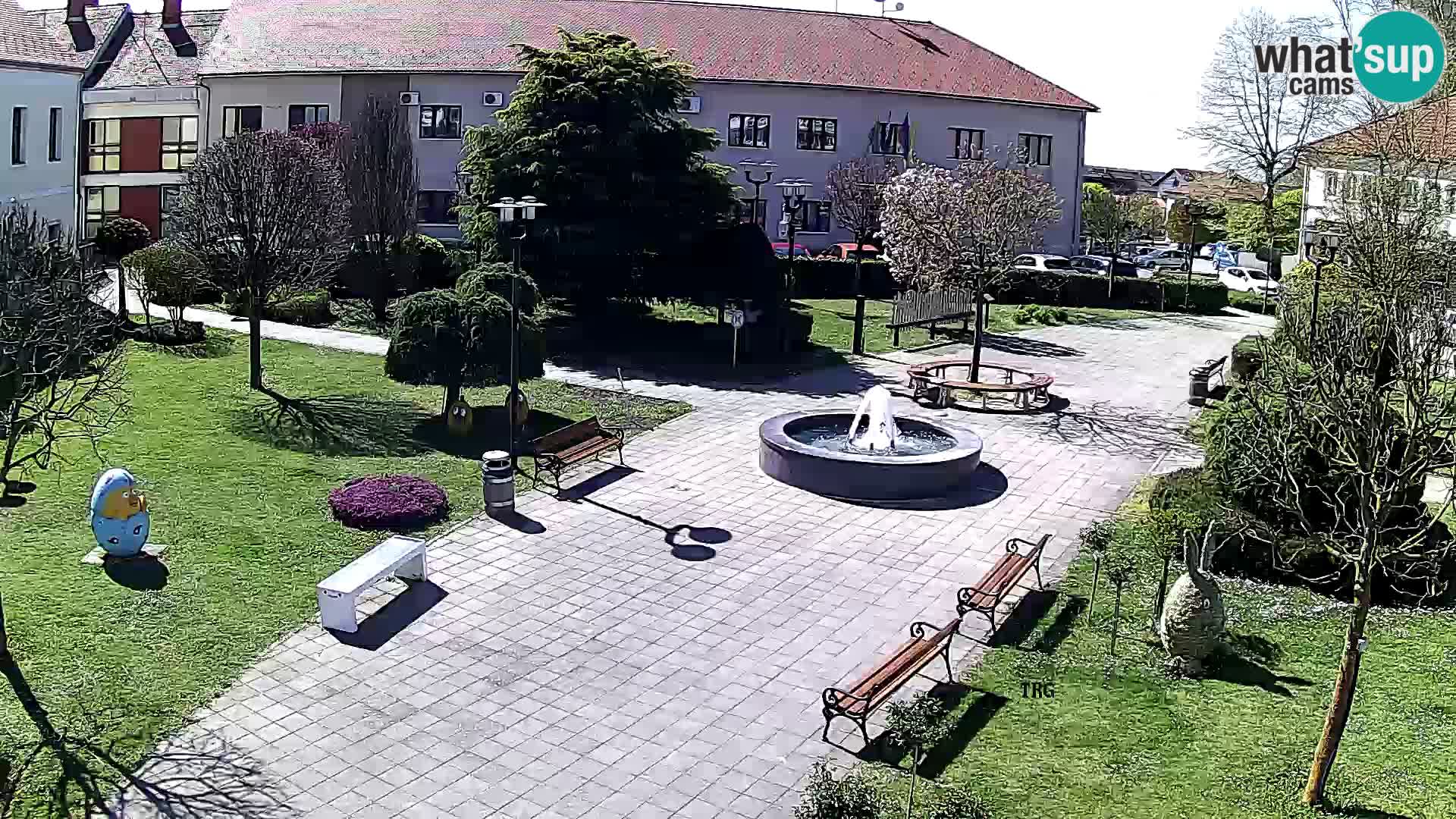 Čazma – Piazza Čazmanskog Kaptola