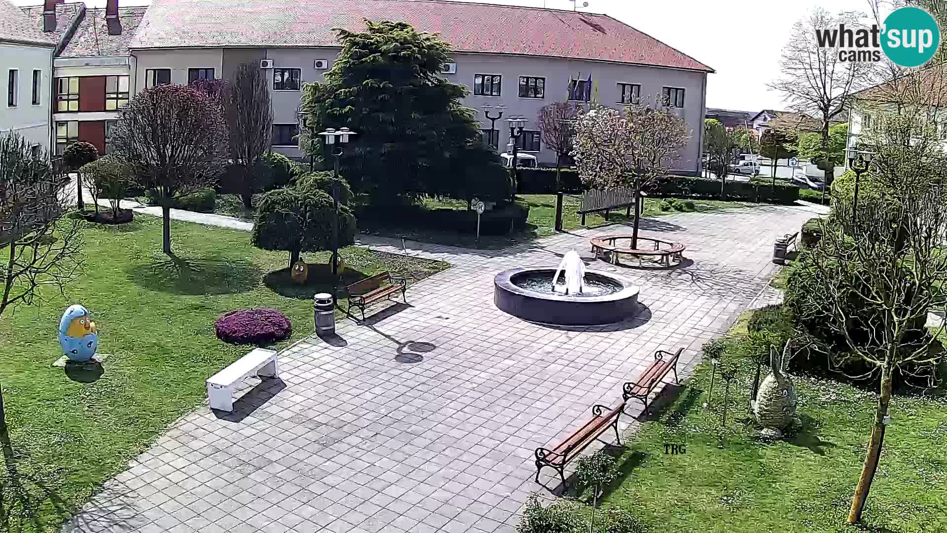 Čazma – Trg Čazmanskog Kaptola