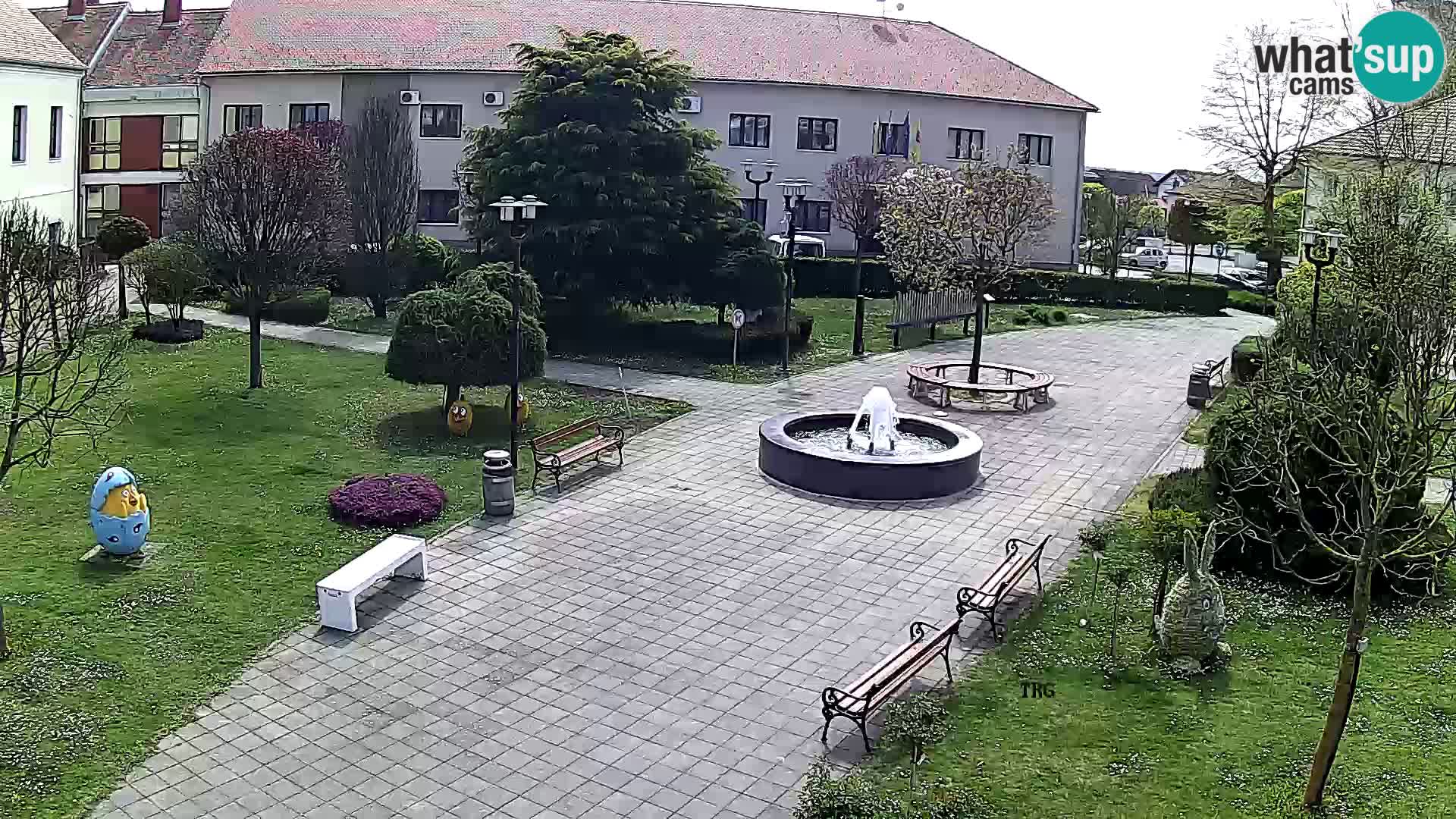 Čazma – Trg Čazmanskog Kaptola