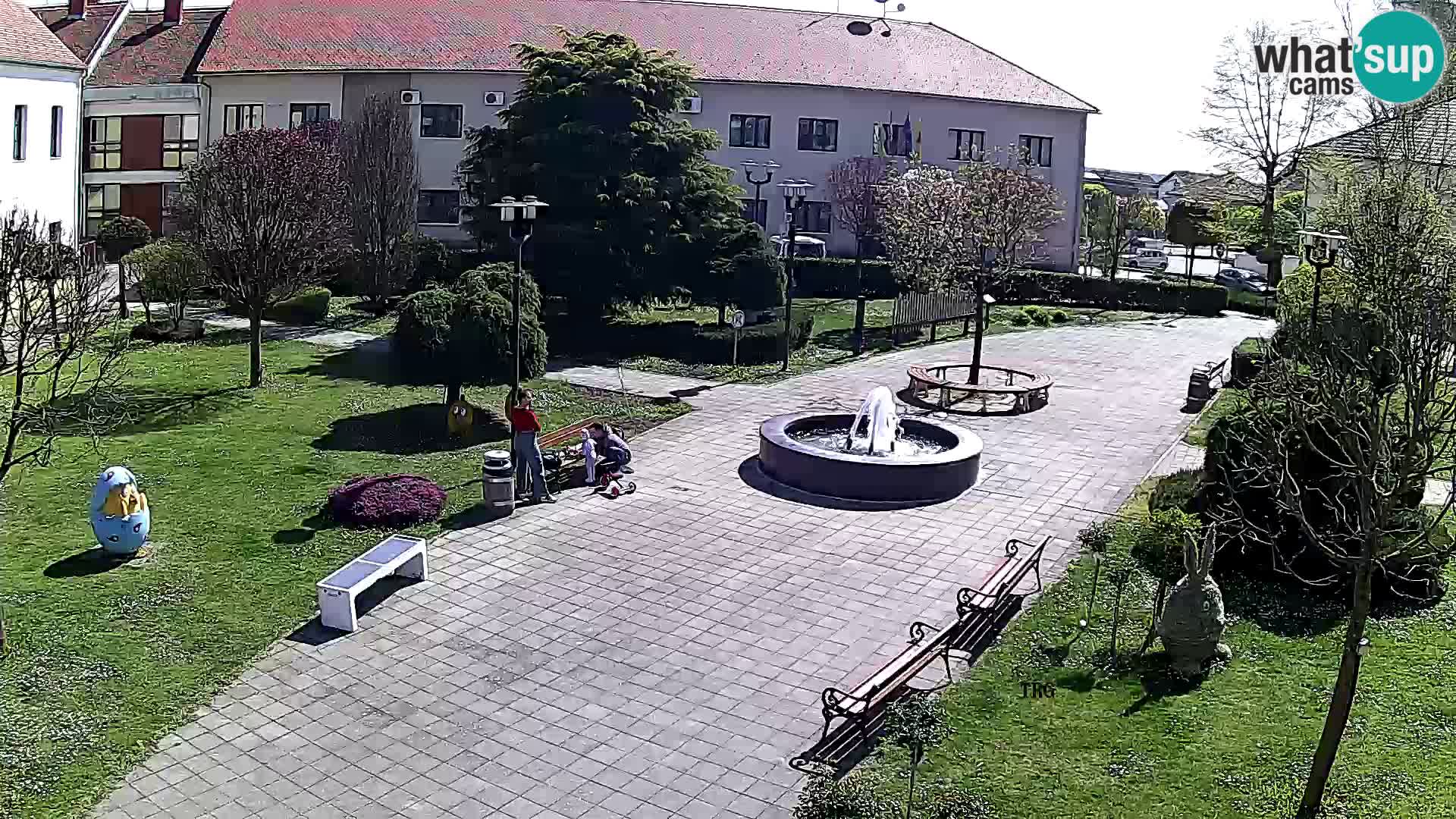 Čazma – Trg Čazmanskog Kaptola