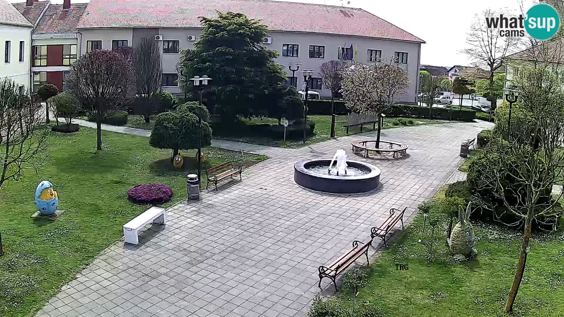 Čazma – Piazza Čazmanskog Kaptola