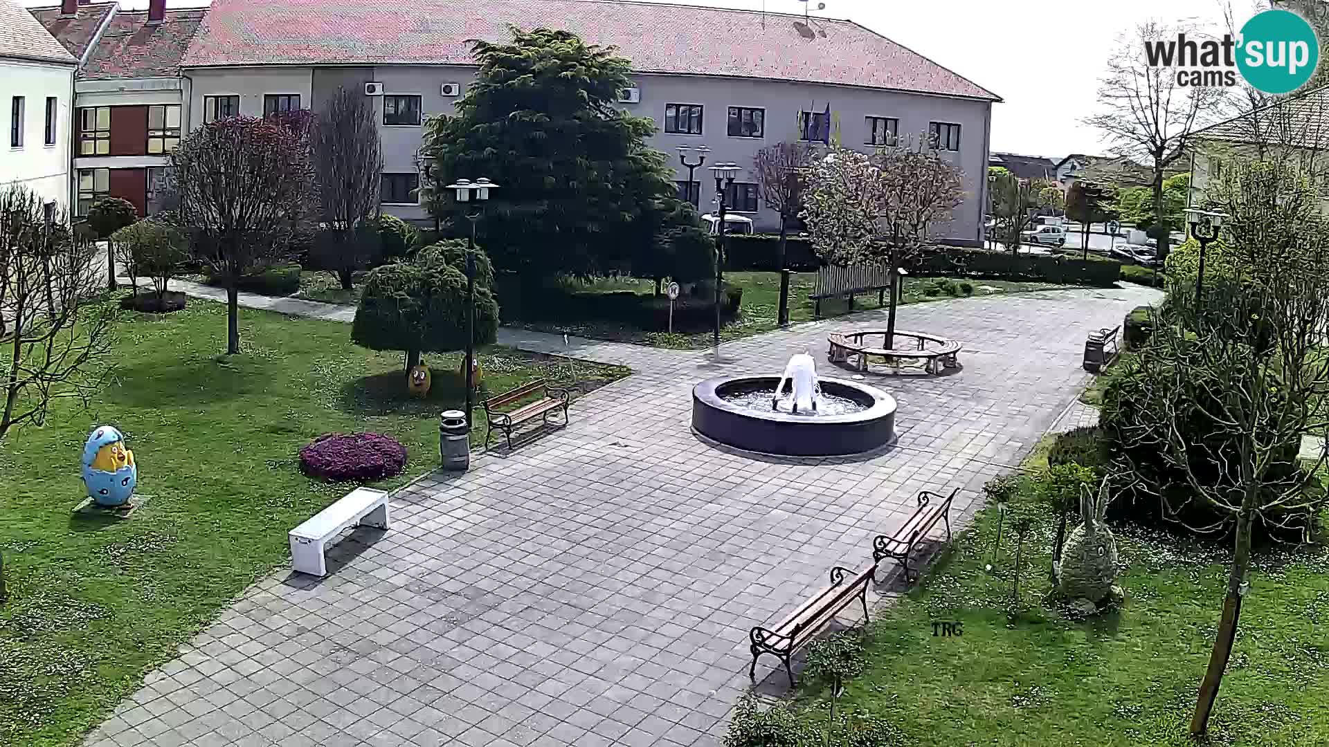 Čazma – Trg Čazmanskog Kaptola