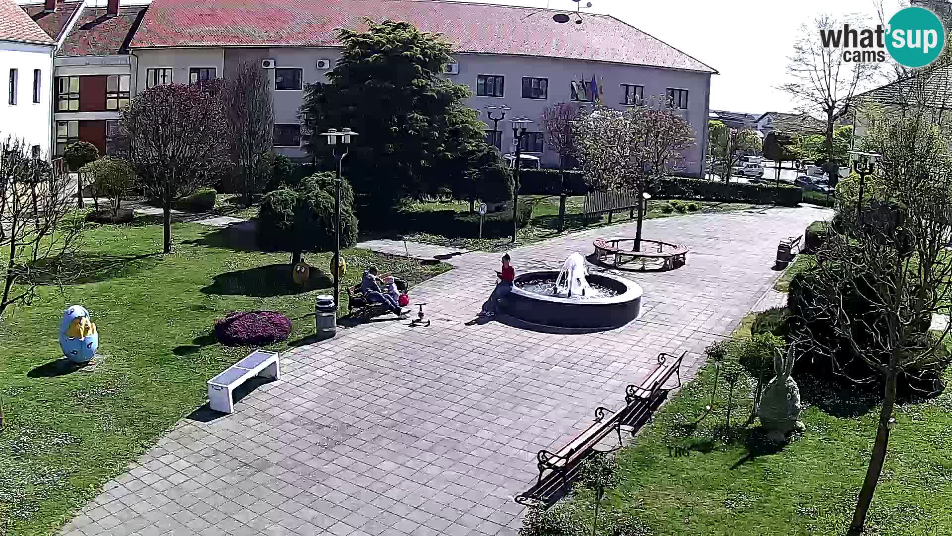 Čazma – Piazza Čazmanskog Kaptola