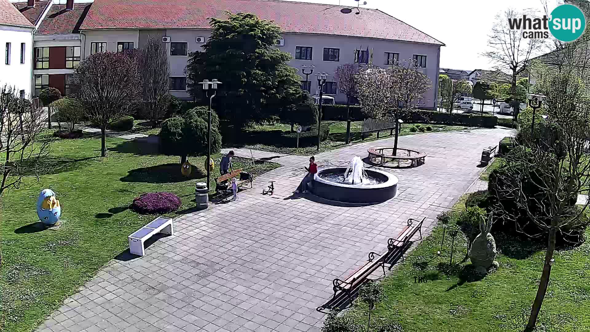 Čazma – Trg Čazmanskog Kaptola