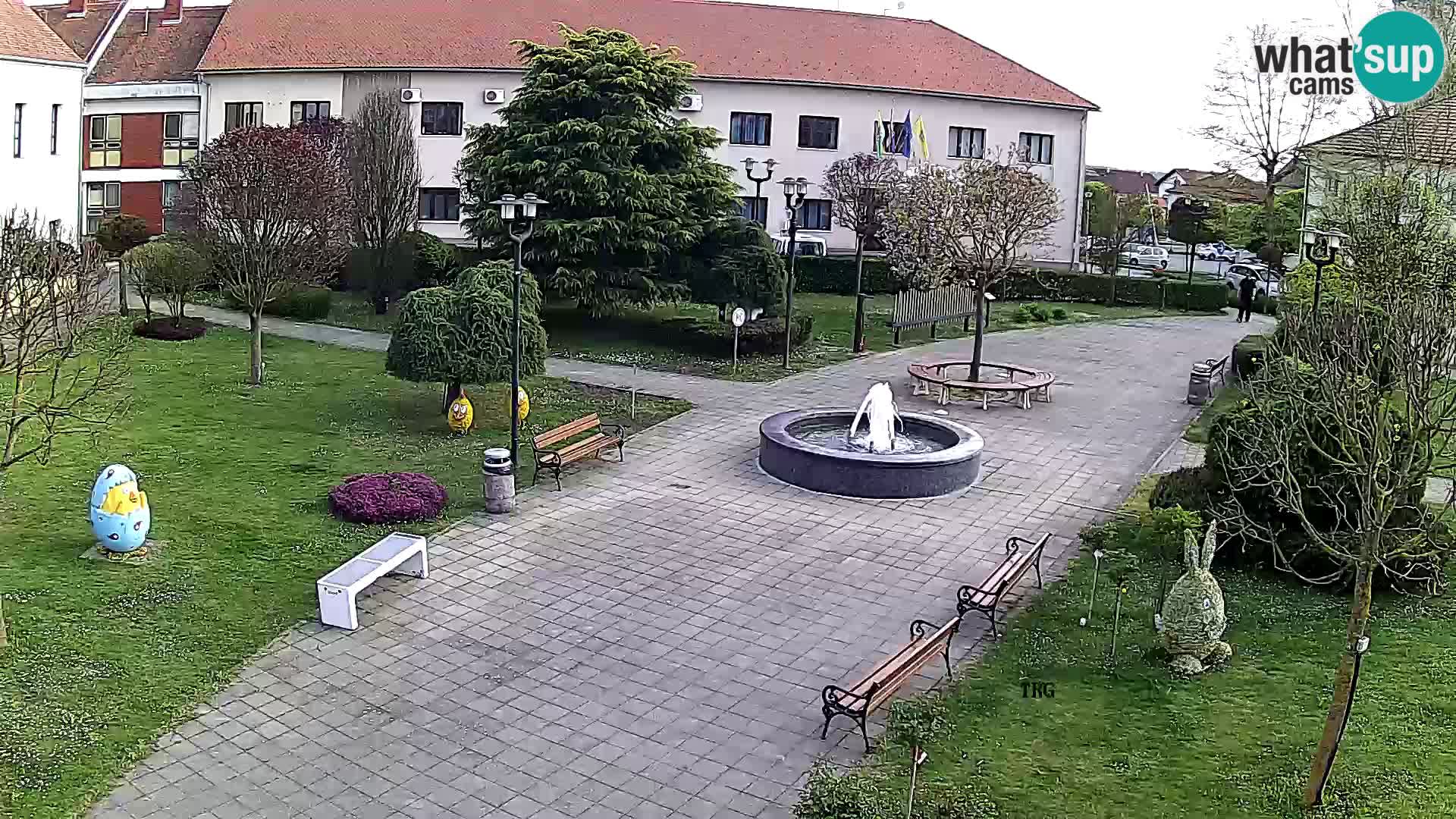 Čazma – Čazmanskog Kaptola square