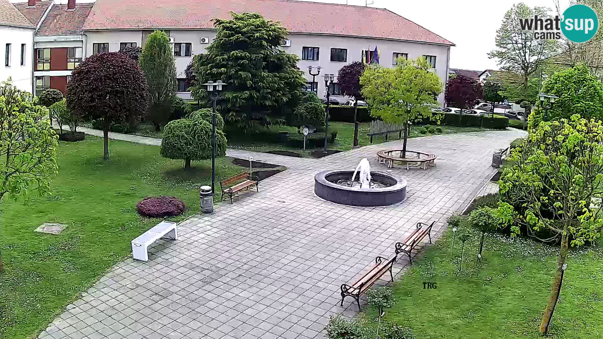 Čazma – Trg Čazmanskog Kaptola